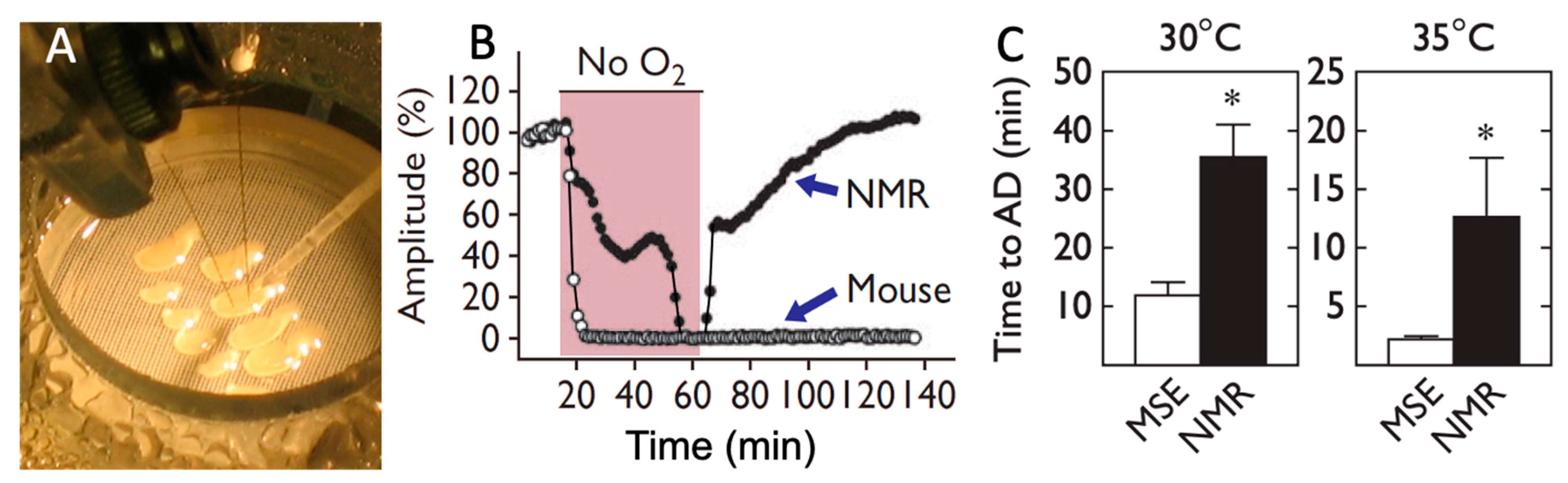 Animals 13 00819 g003