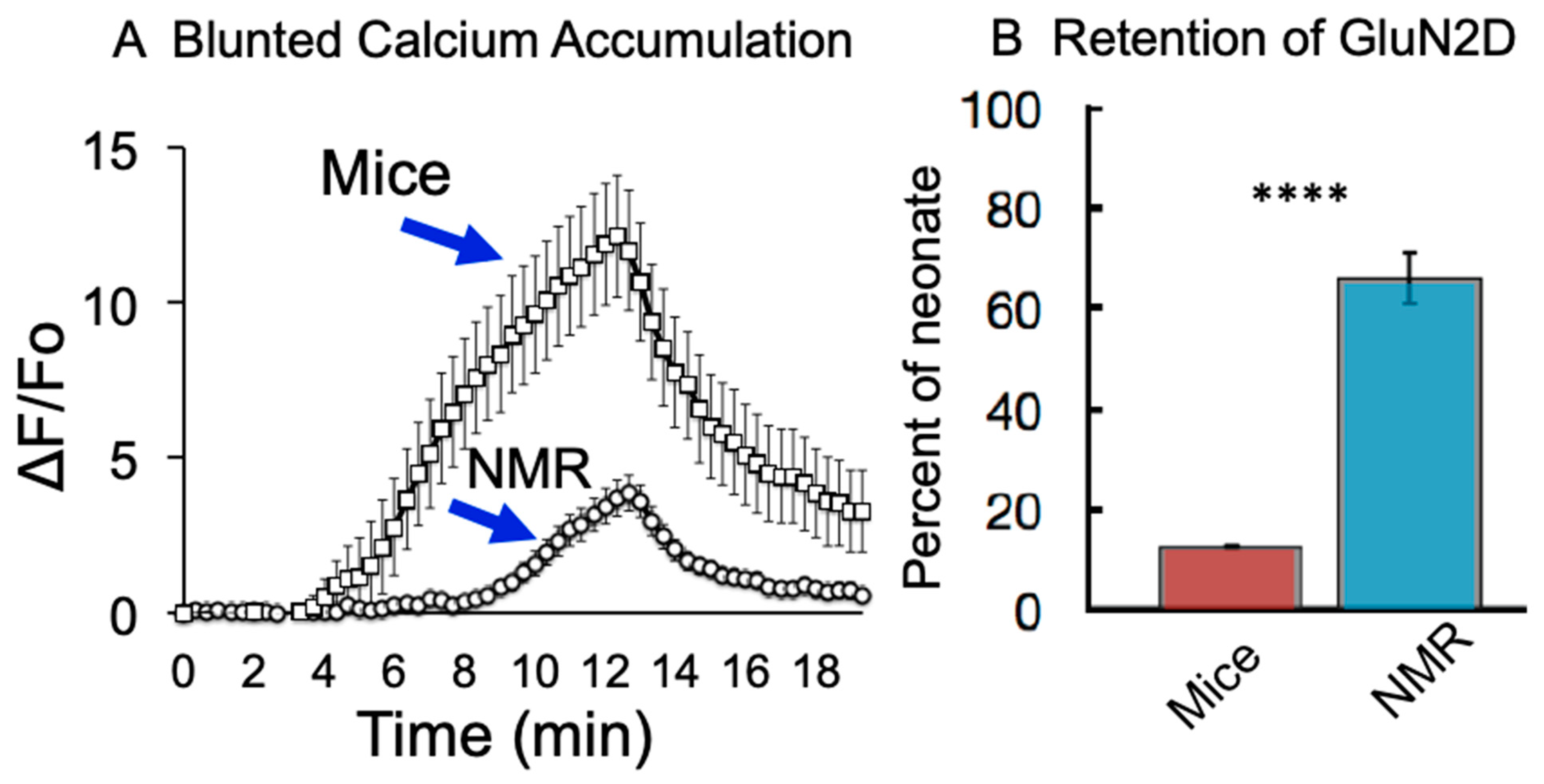 Animals 13 00819 g004