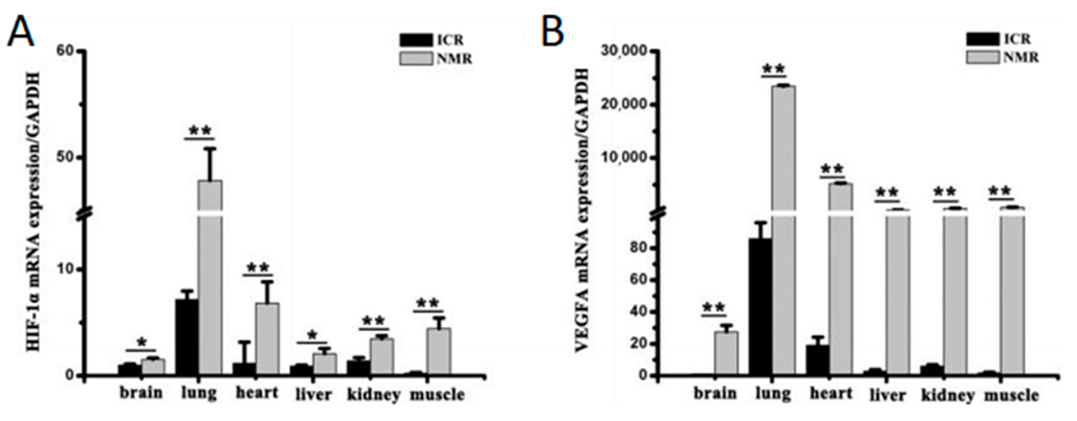 Animals 13 00819 g005