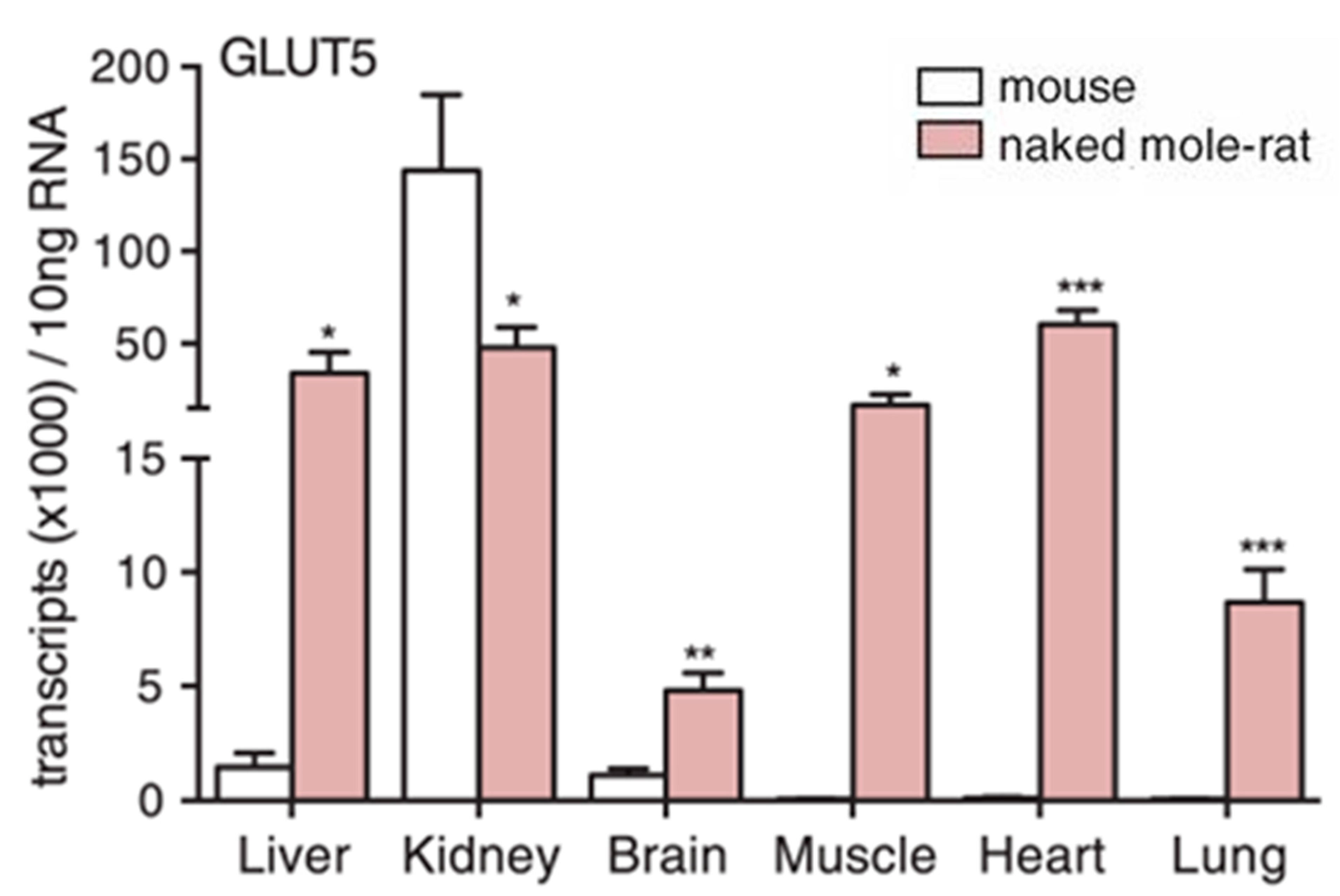 Animals 13 00819 g006