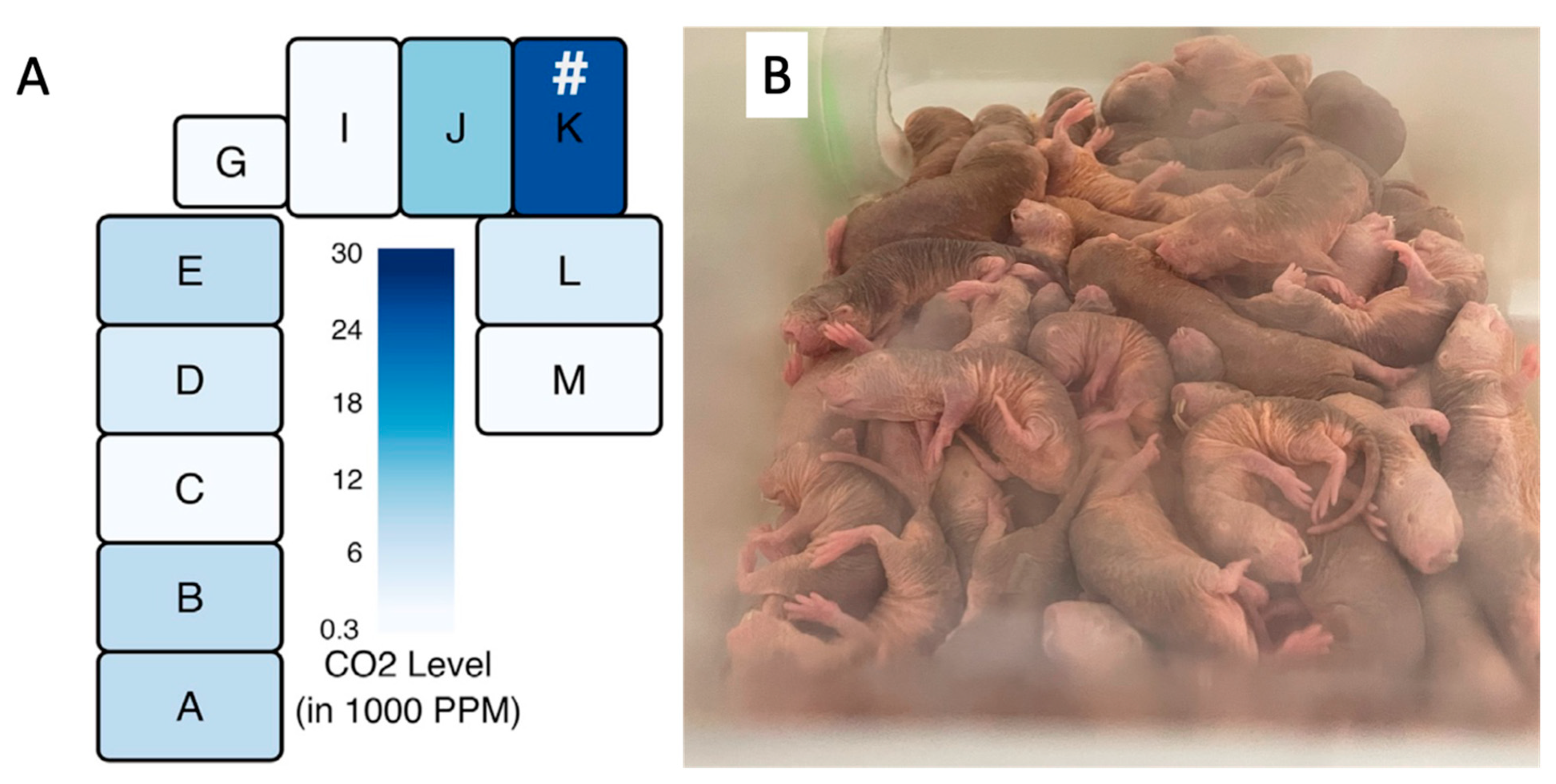 Animals 13 00819 g009