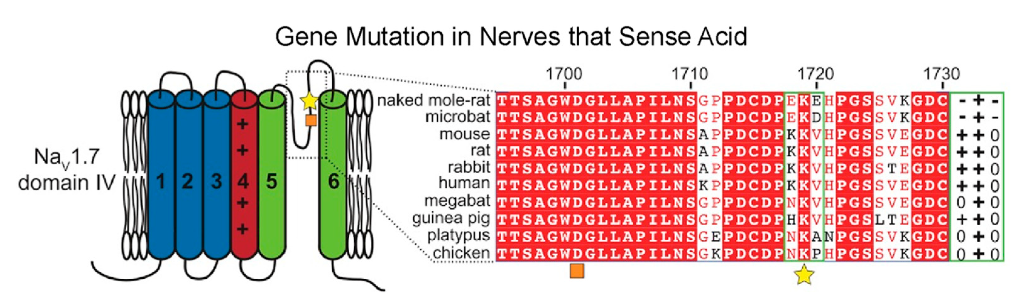 Animals 13 00819 g012