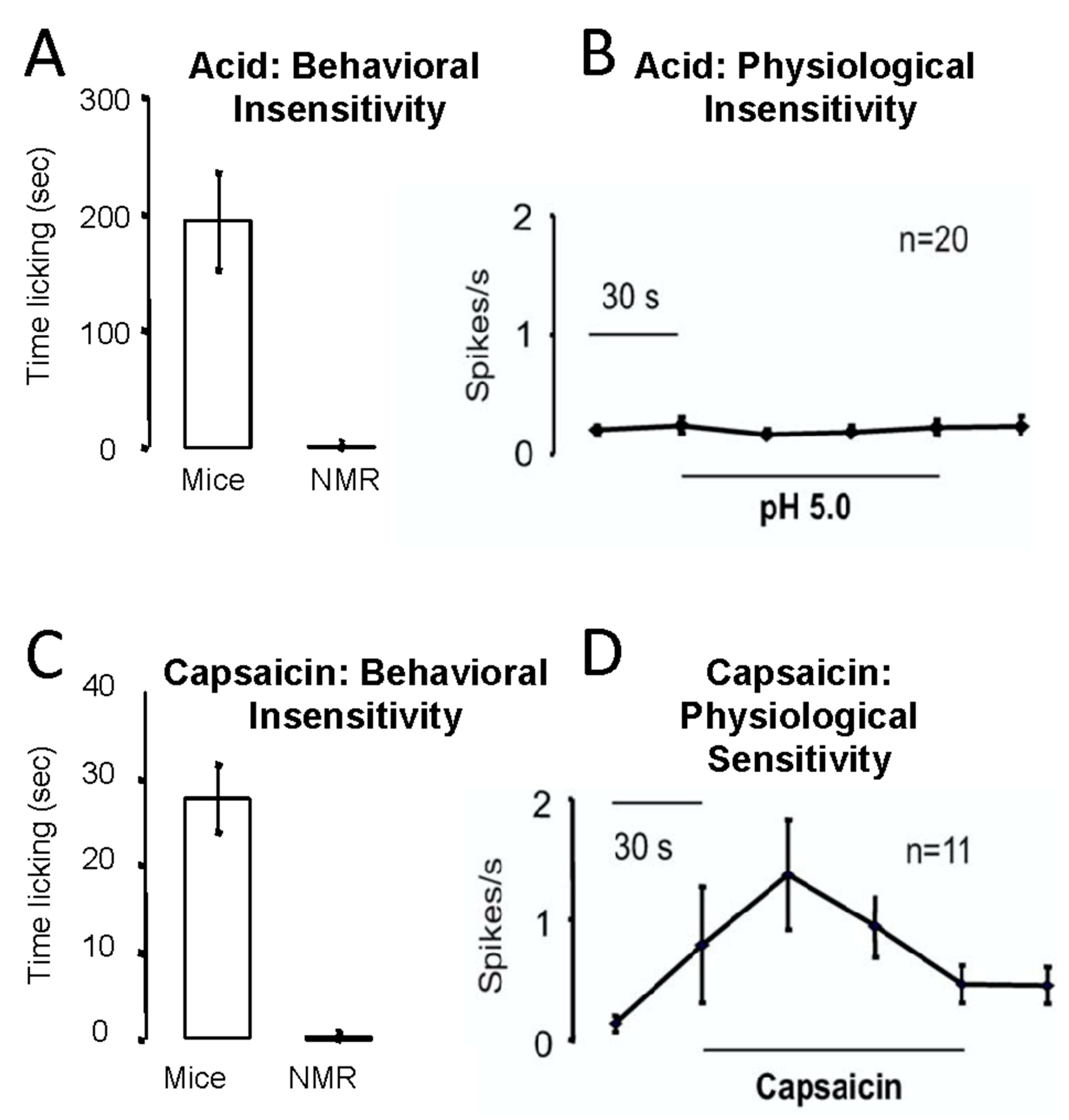 Animals 13 00819 g013