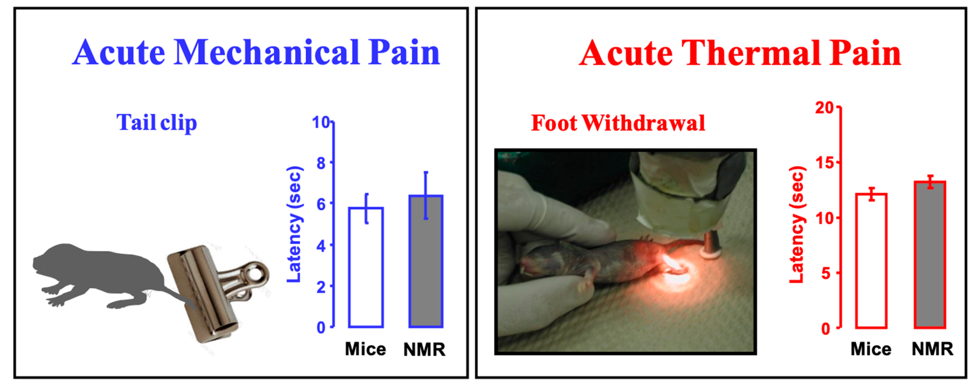 Animals 13 00819 g015