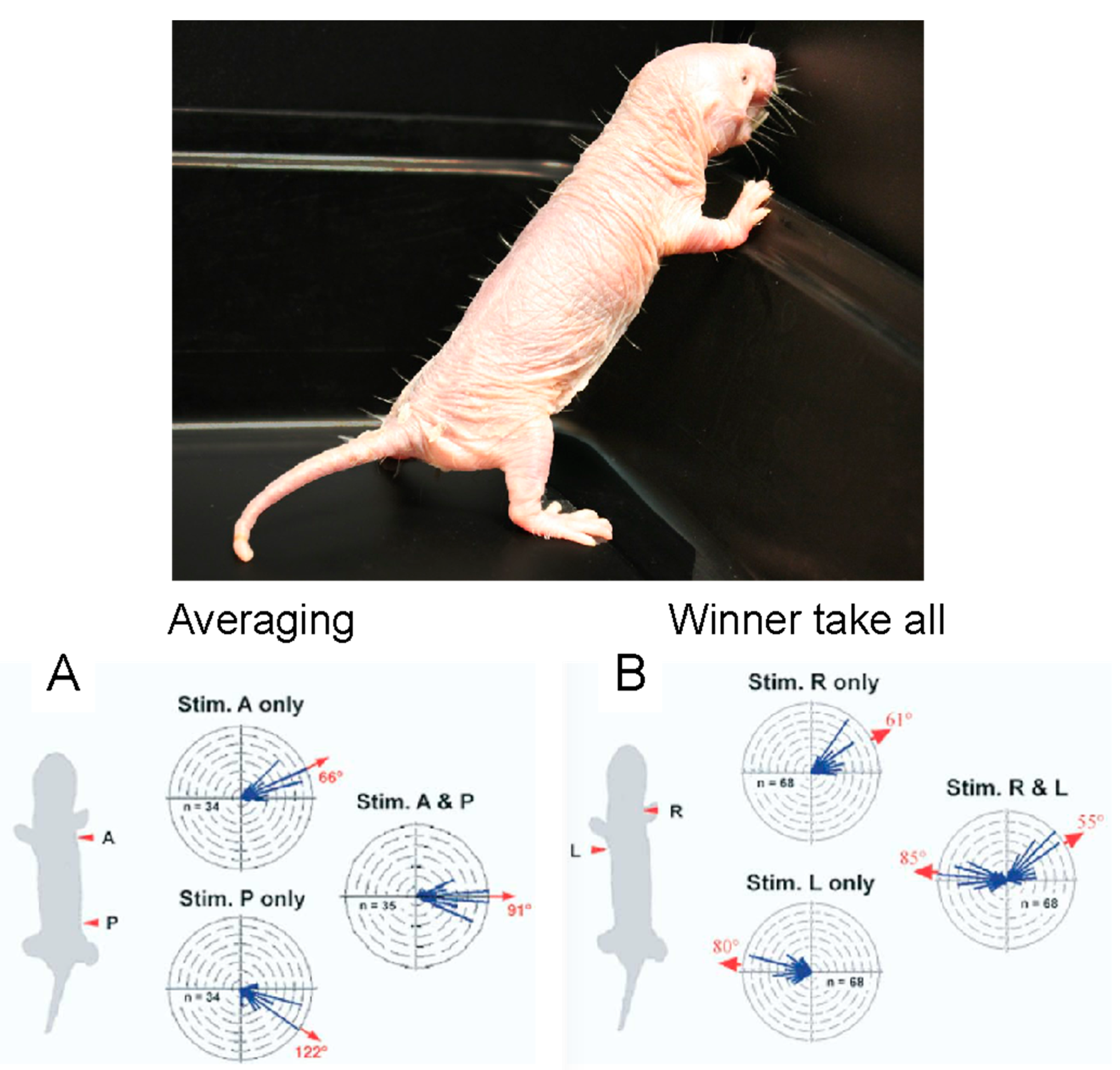 Animals 13 00819 g017