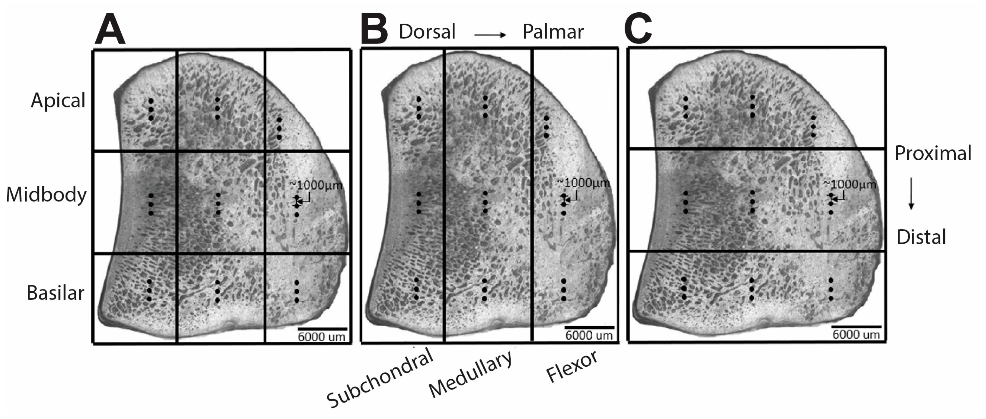 Animals 13 00827 g001