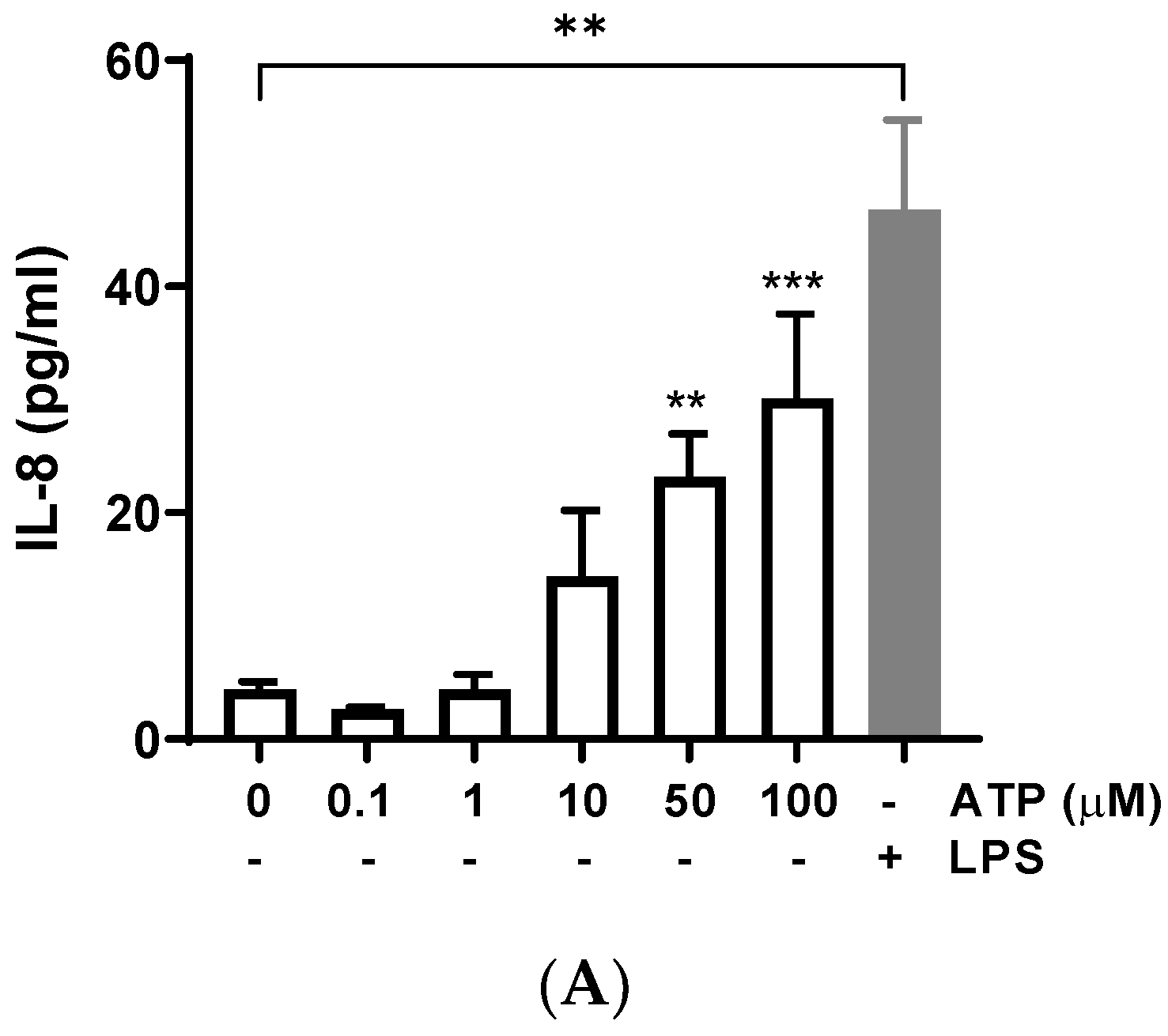 Animals 13 00841 g001a