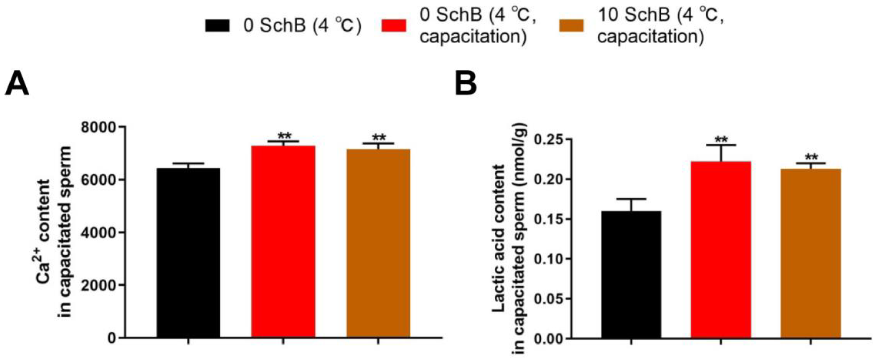 Animals 13 00848 g009