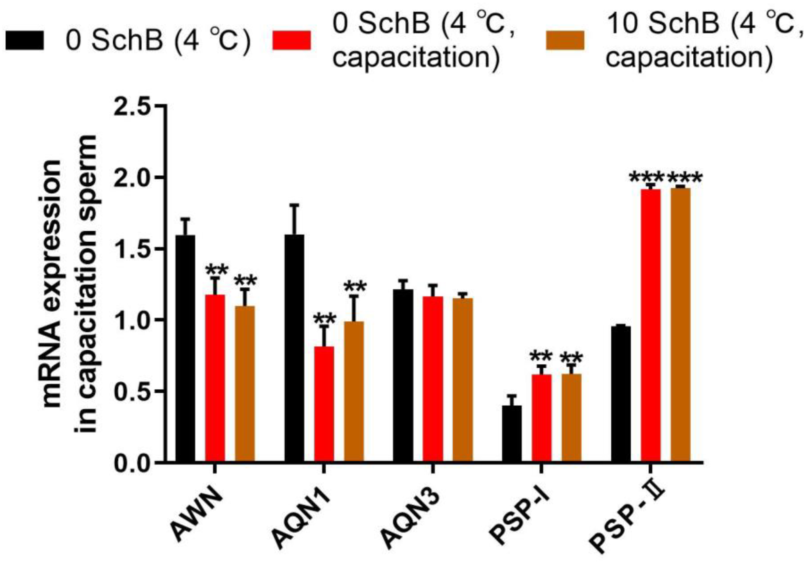 Animals 13 00848 g010