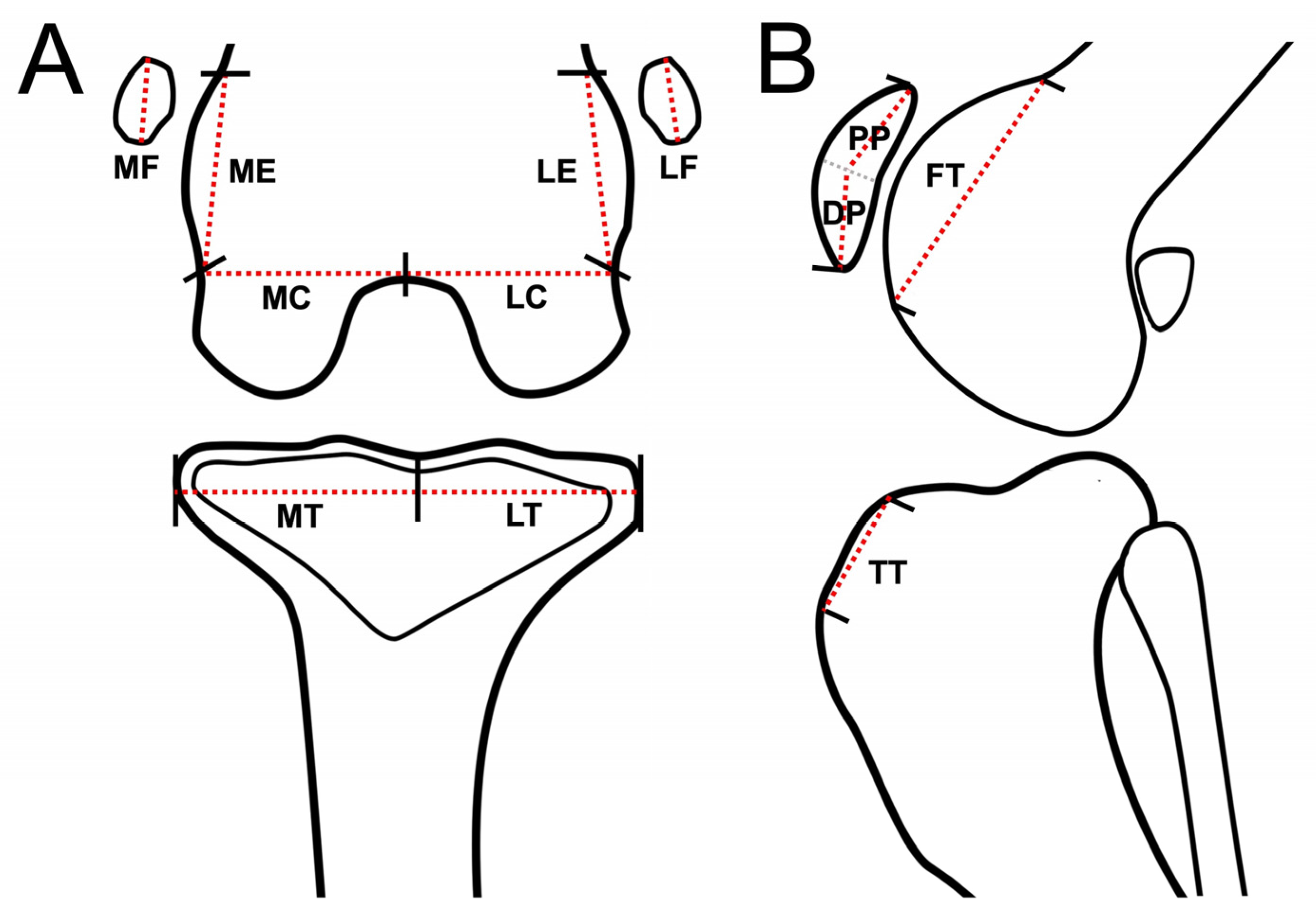 Animals 13 00849 g001