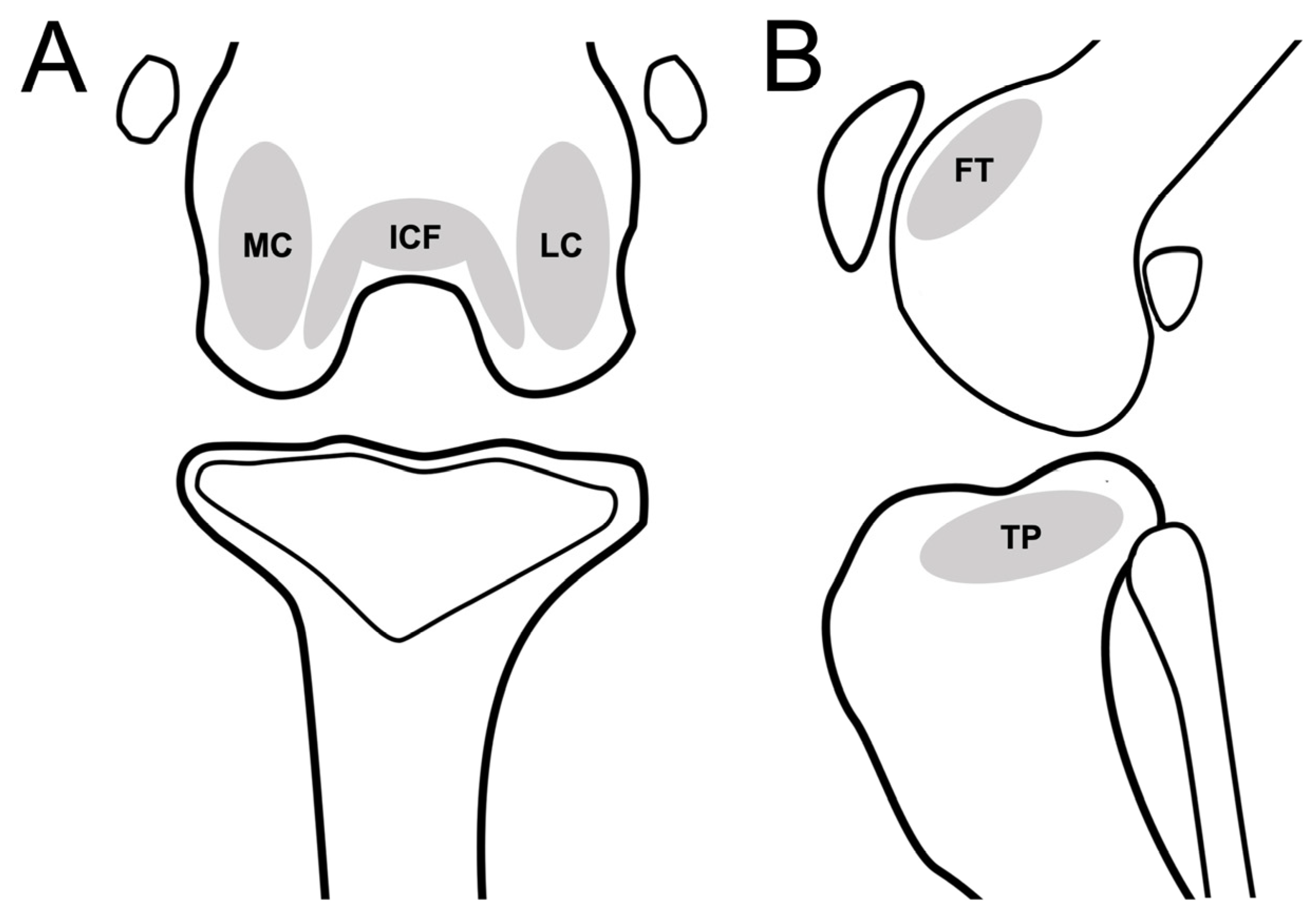 Animals 13 00849 g003