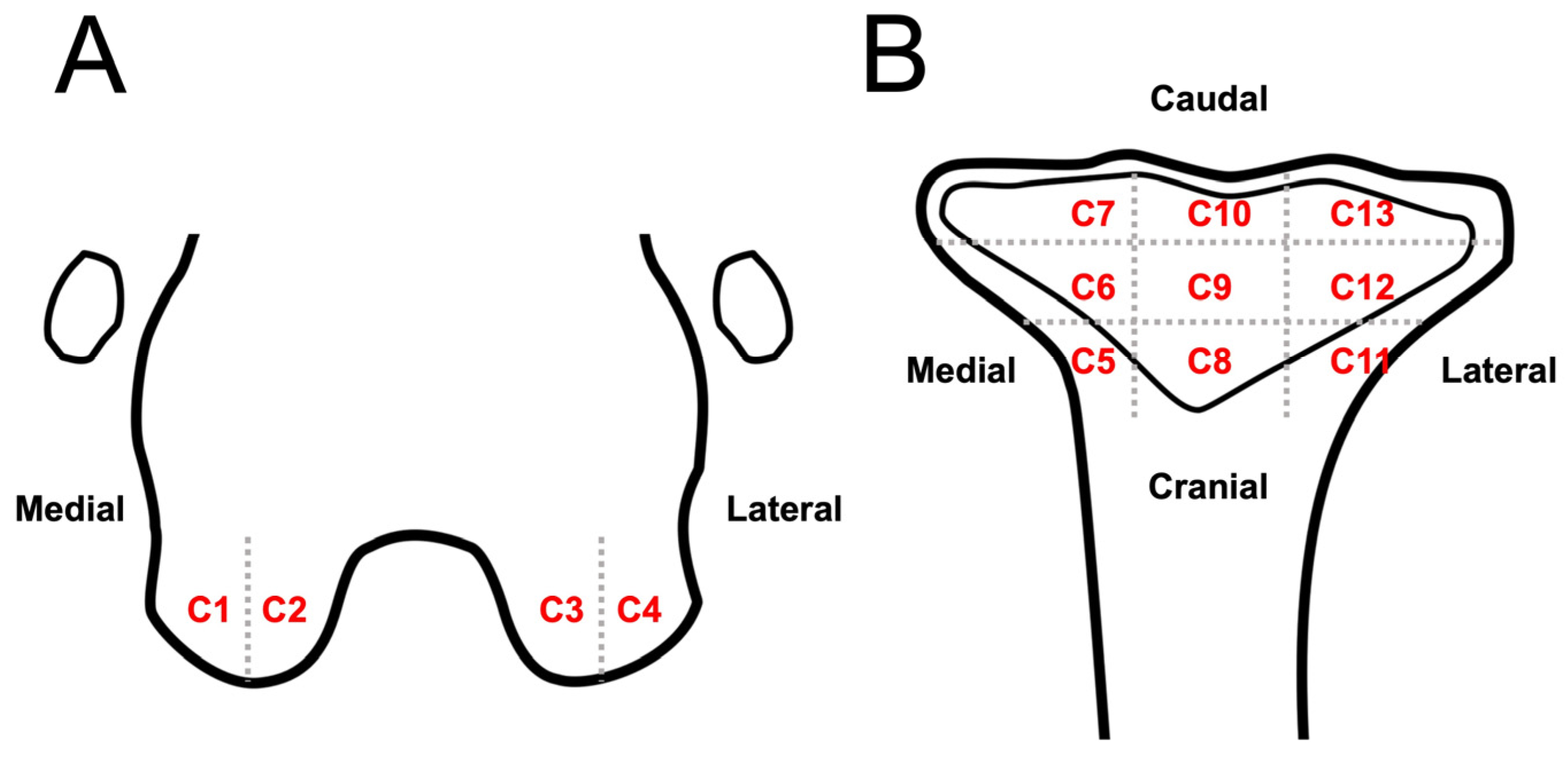 Animals 13 00849 g004