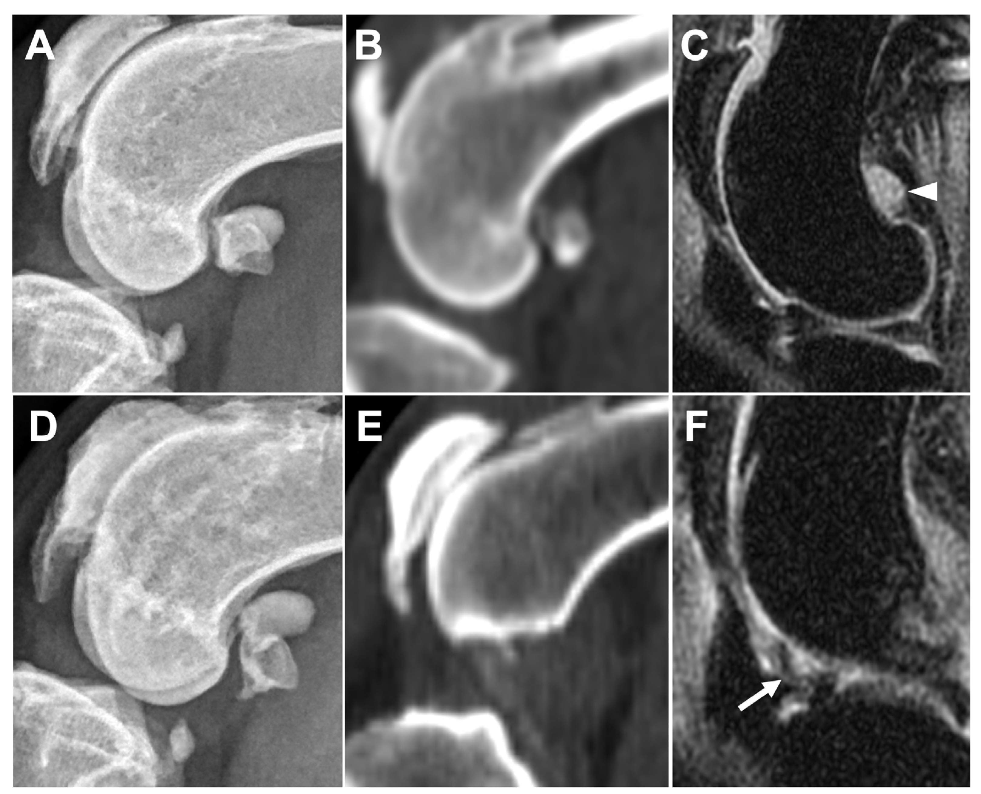 Animals 13 00849 g008