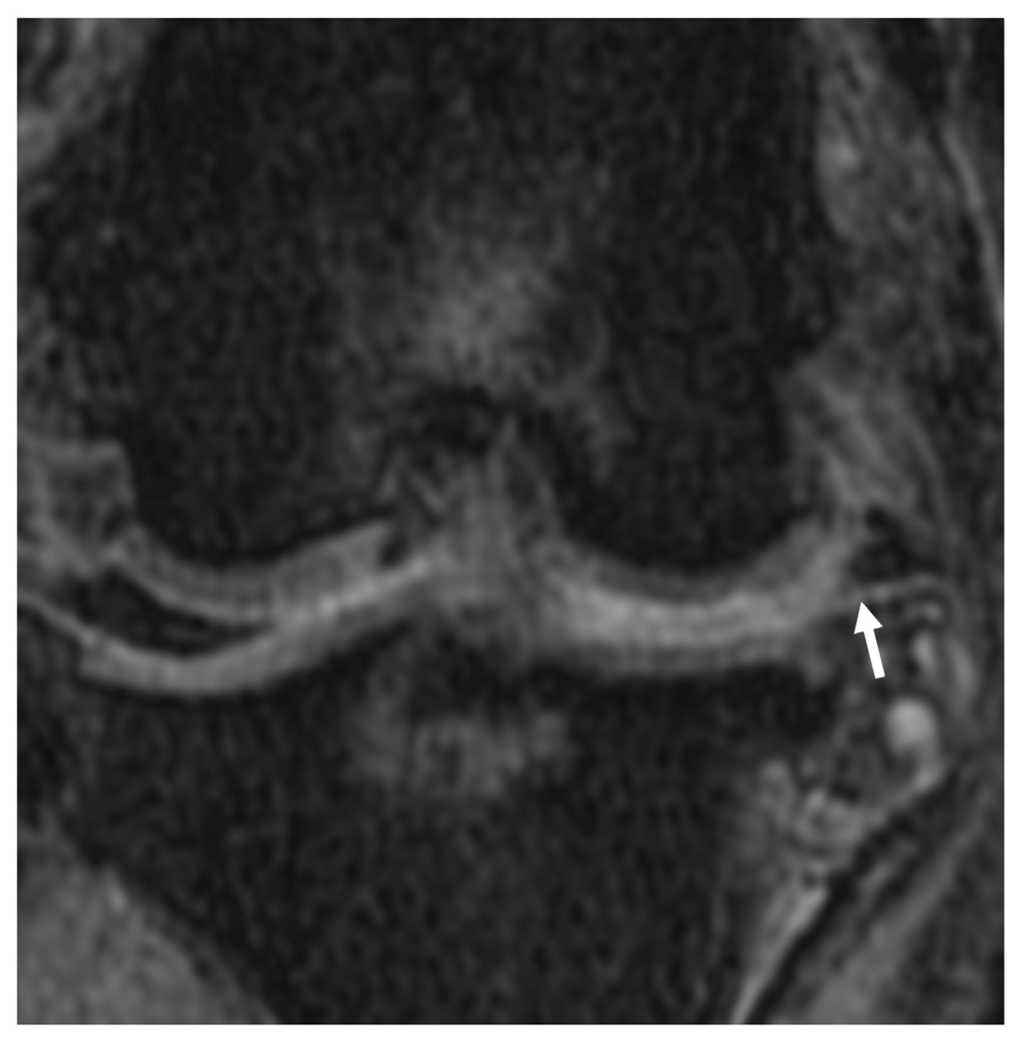 Animals 13 00849 g010