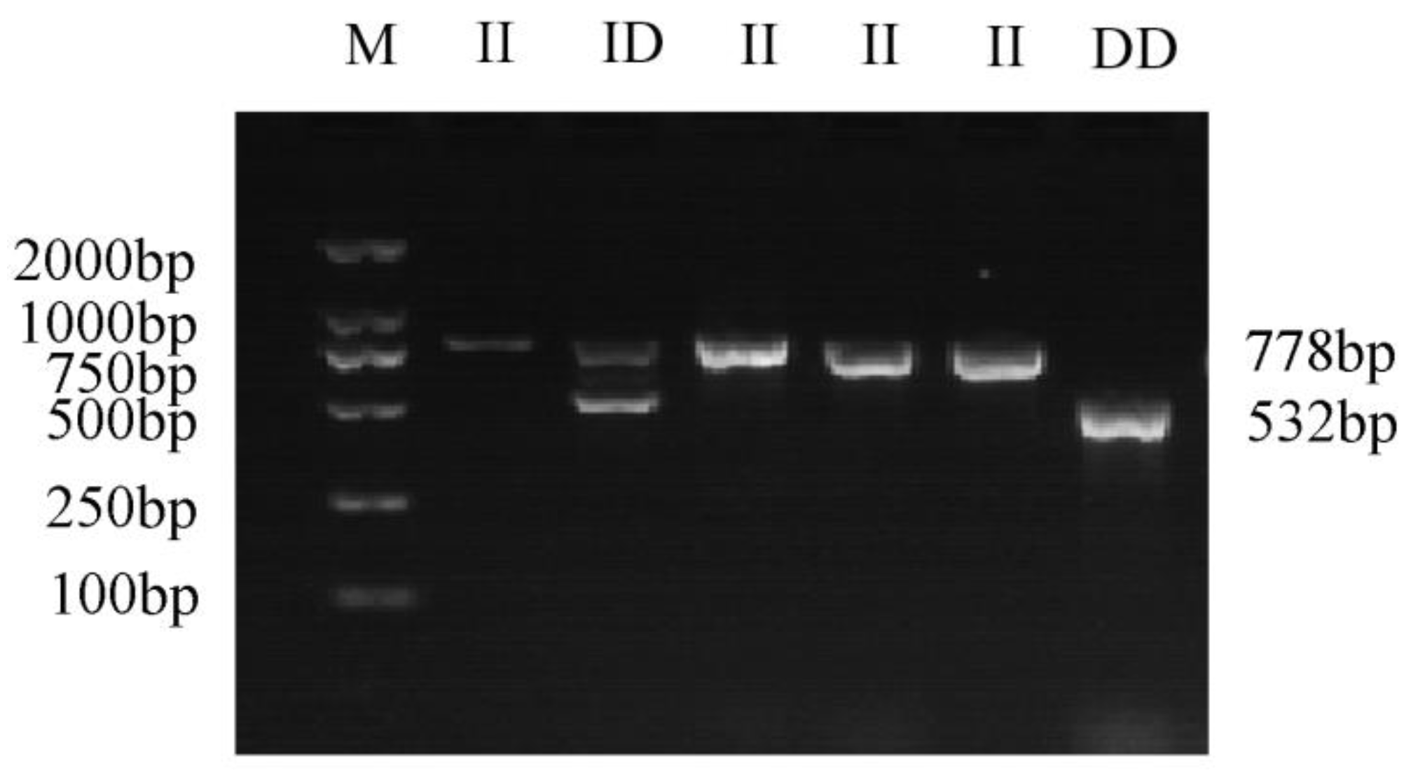 Animals 13 00851 g001