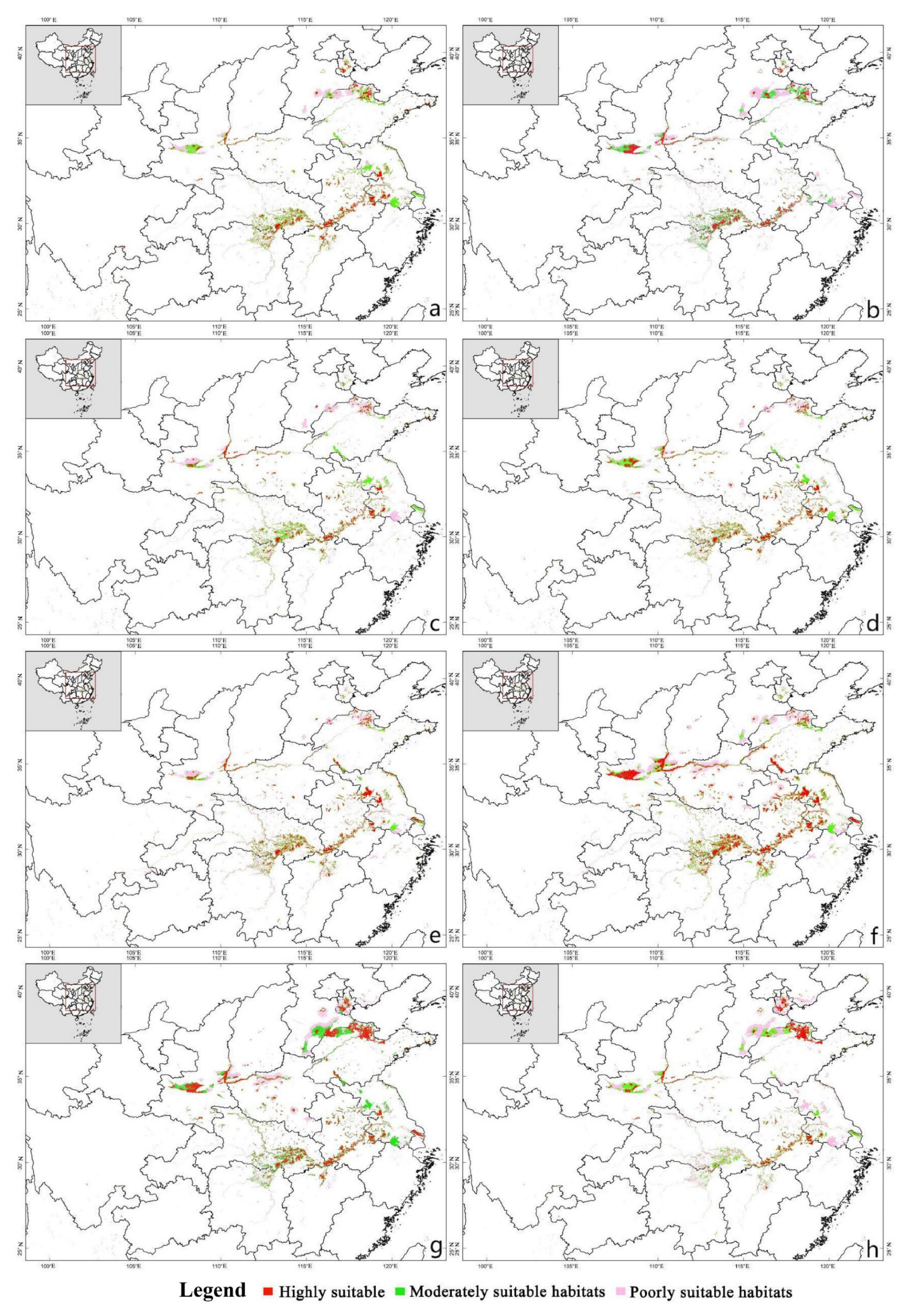 Animals 13 00856 g005