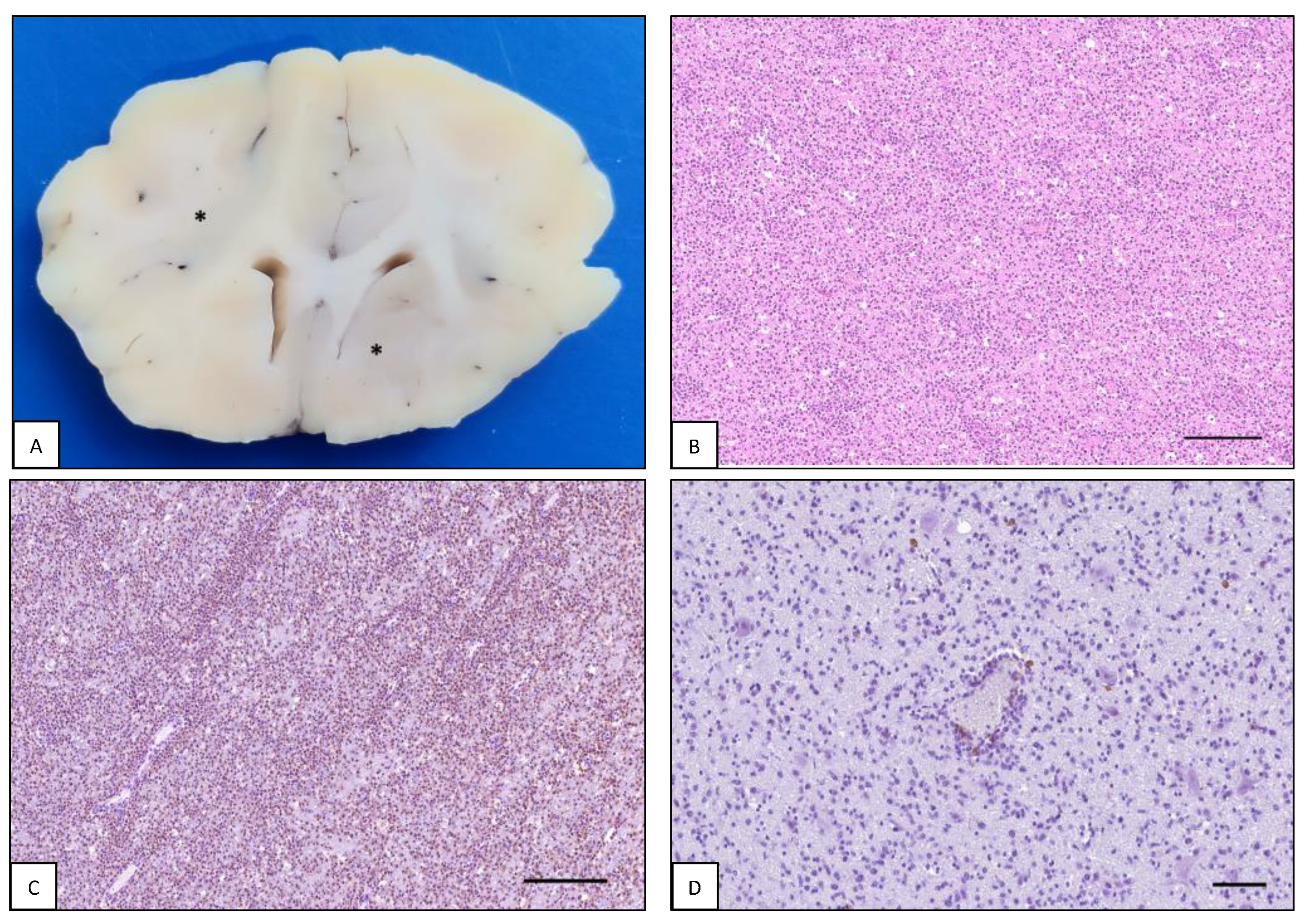 Animals 13 00862 g002