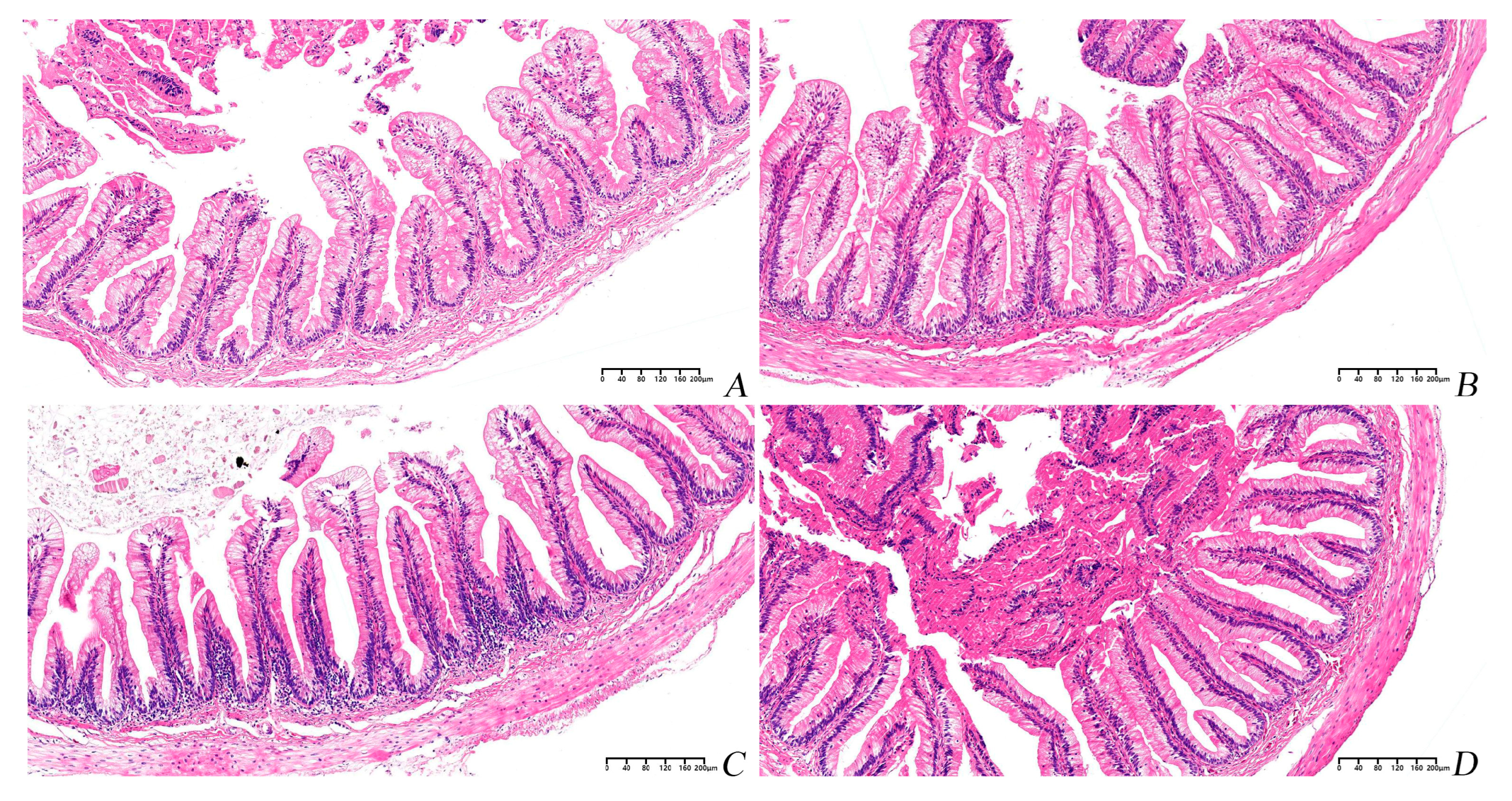 Animals 13 00865 g005