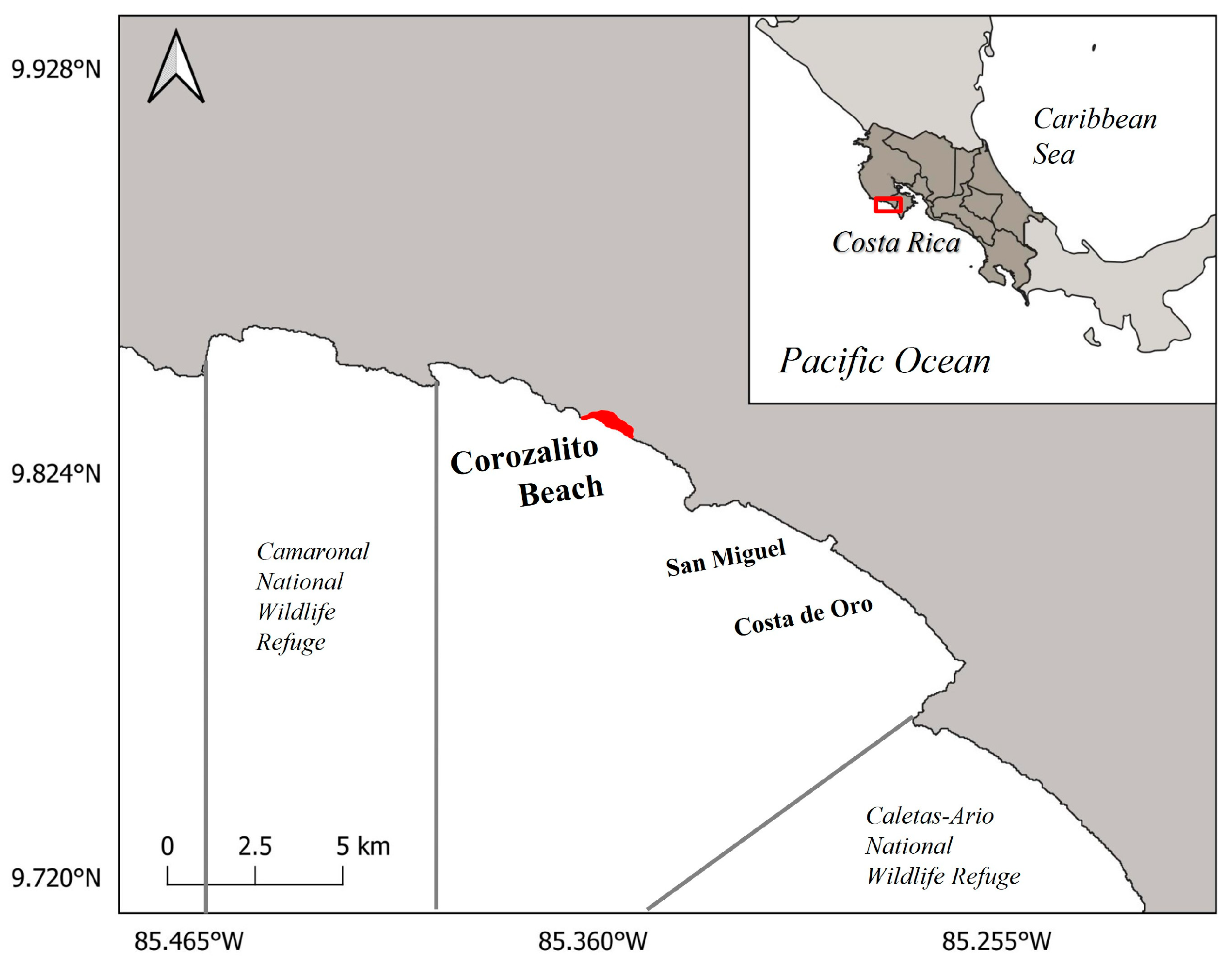 Animals 13 00875 g001