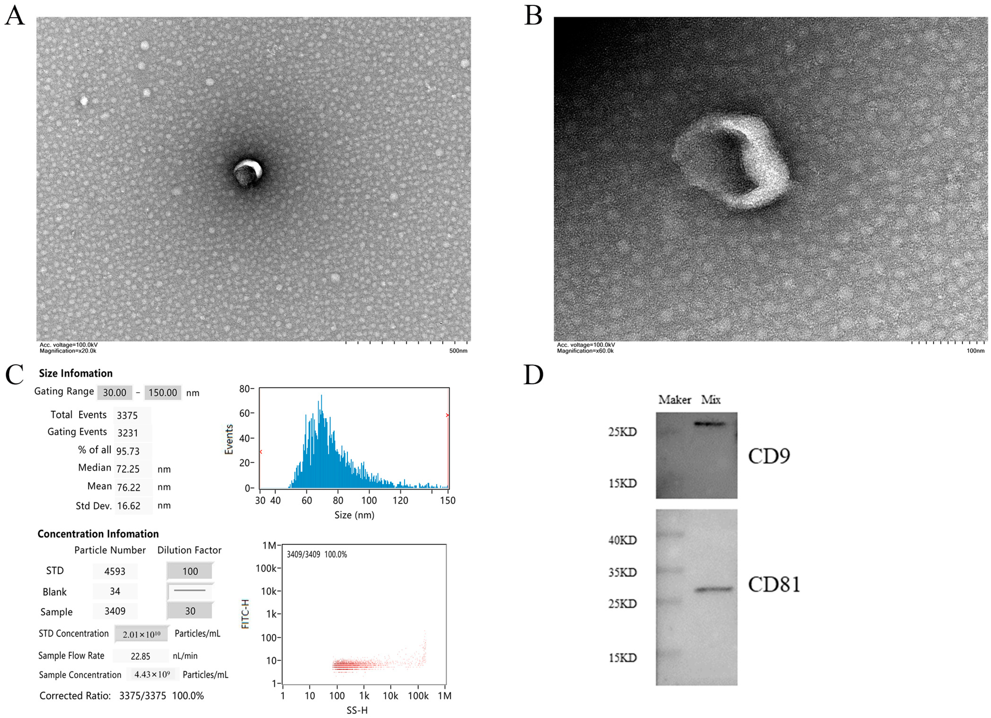 Animals 13 00876 g001