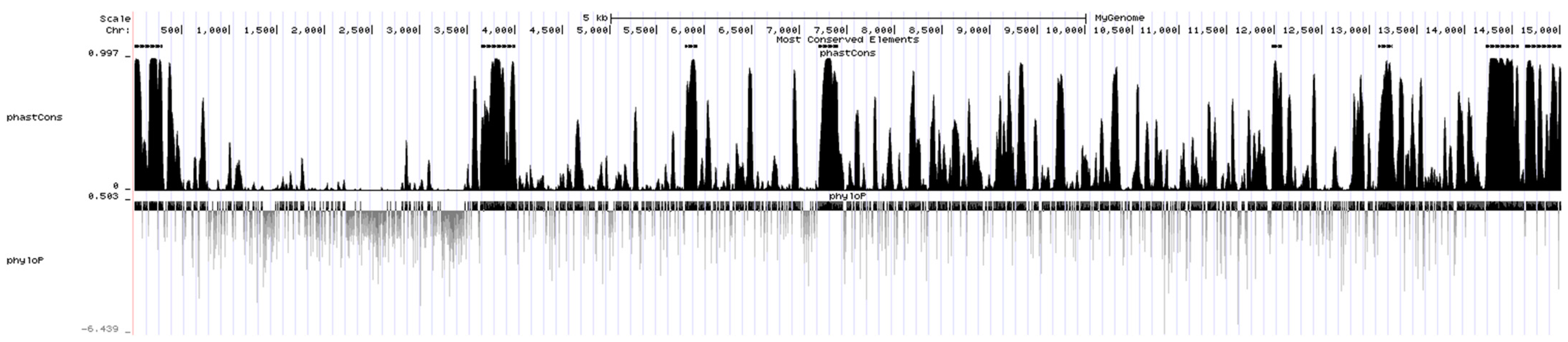 Animals 13 00876 g006