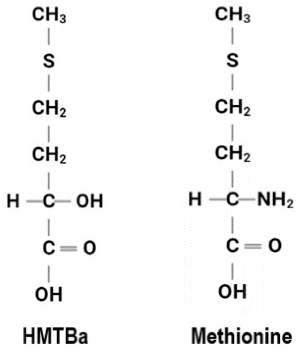 Animals 13 00877 g001 Animals 13 00877 g001