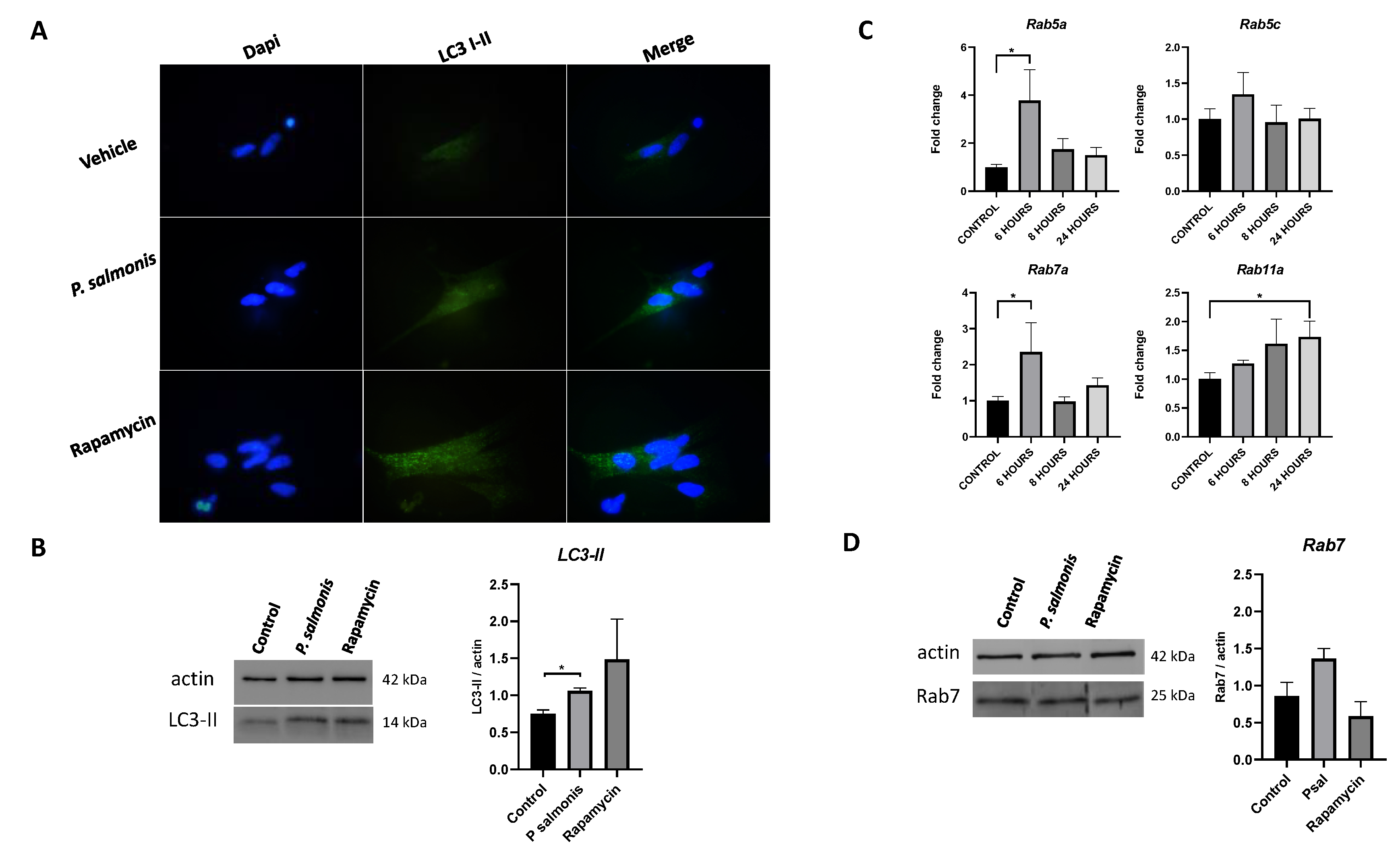 Animals 13 00880 g003