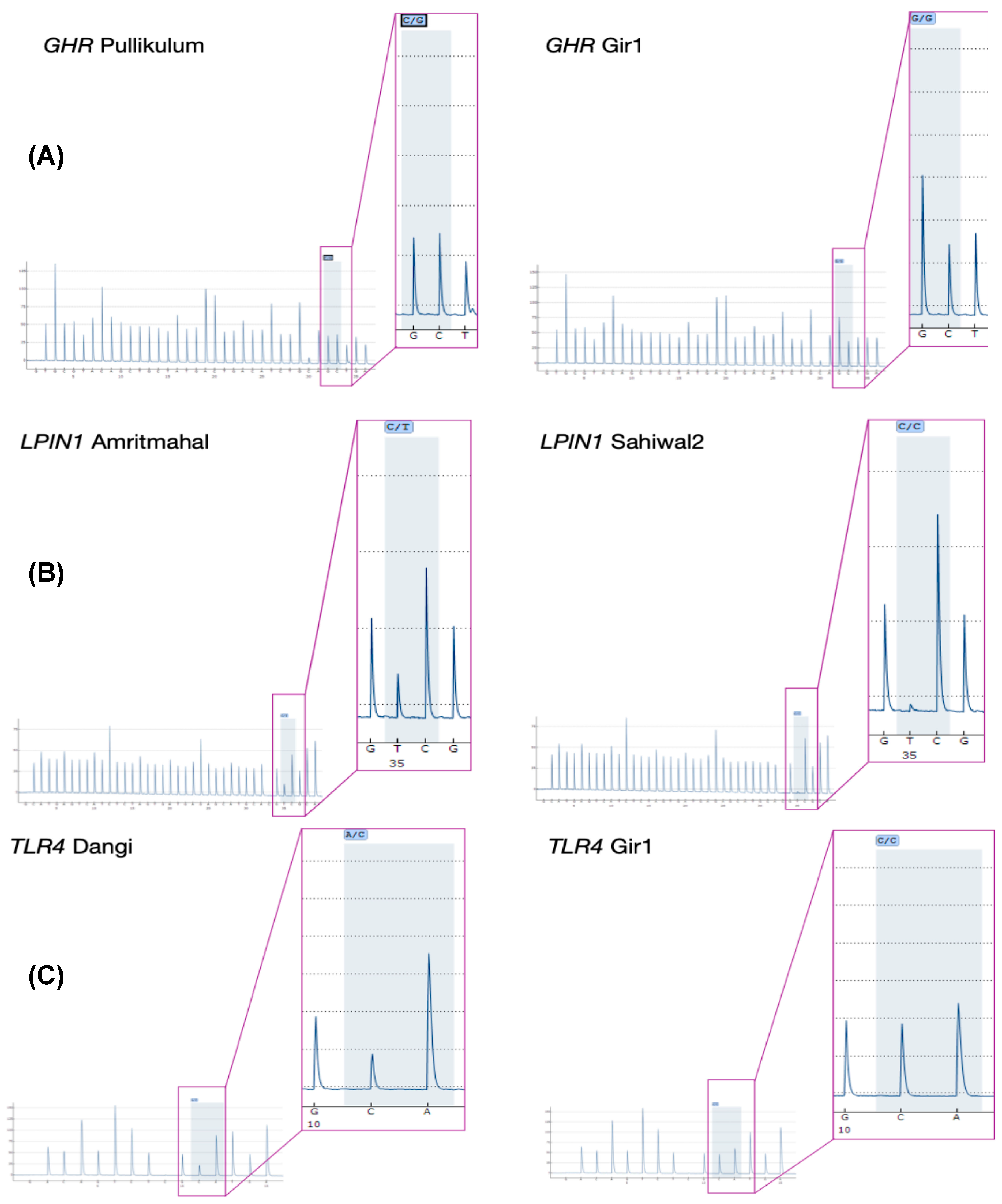 Animals 13 00884 g003