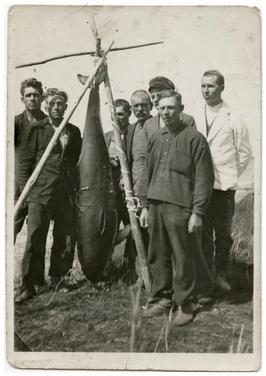 Animals 13 00909 g001