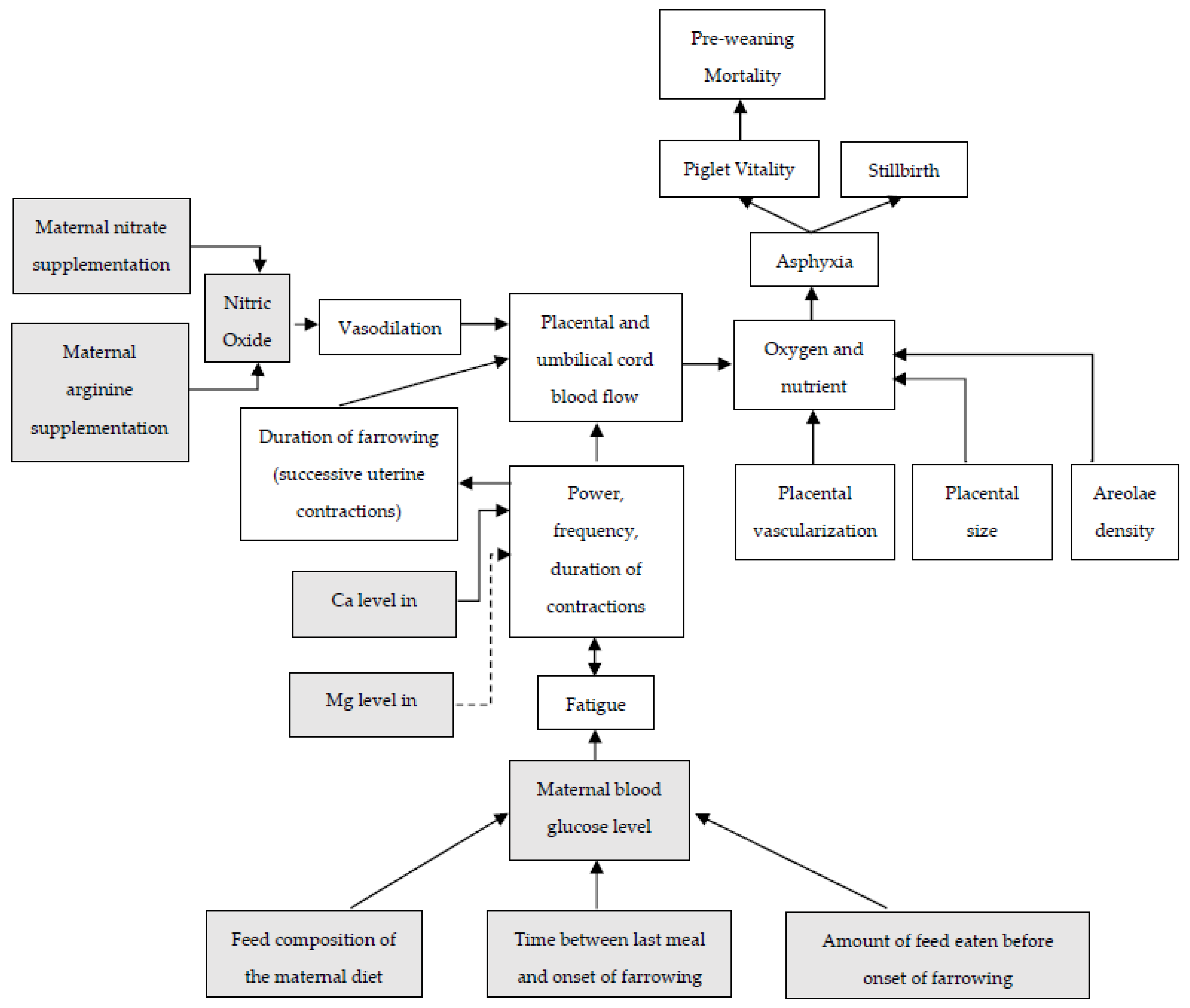 Animals 13 00910 g003