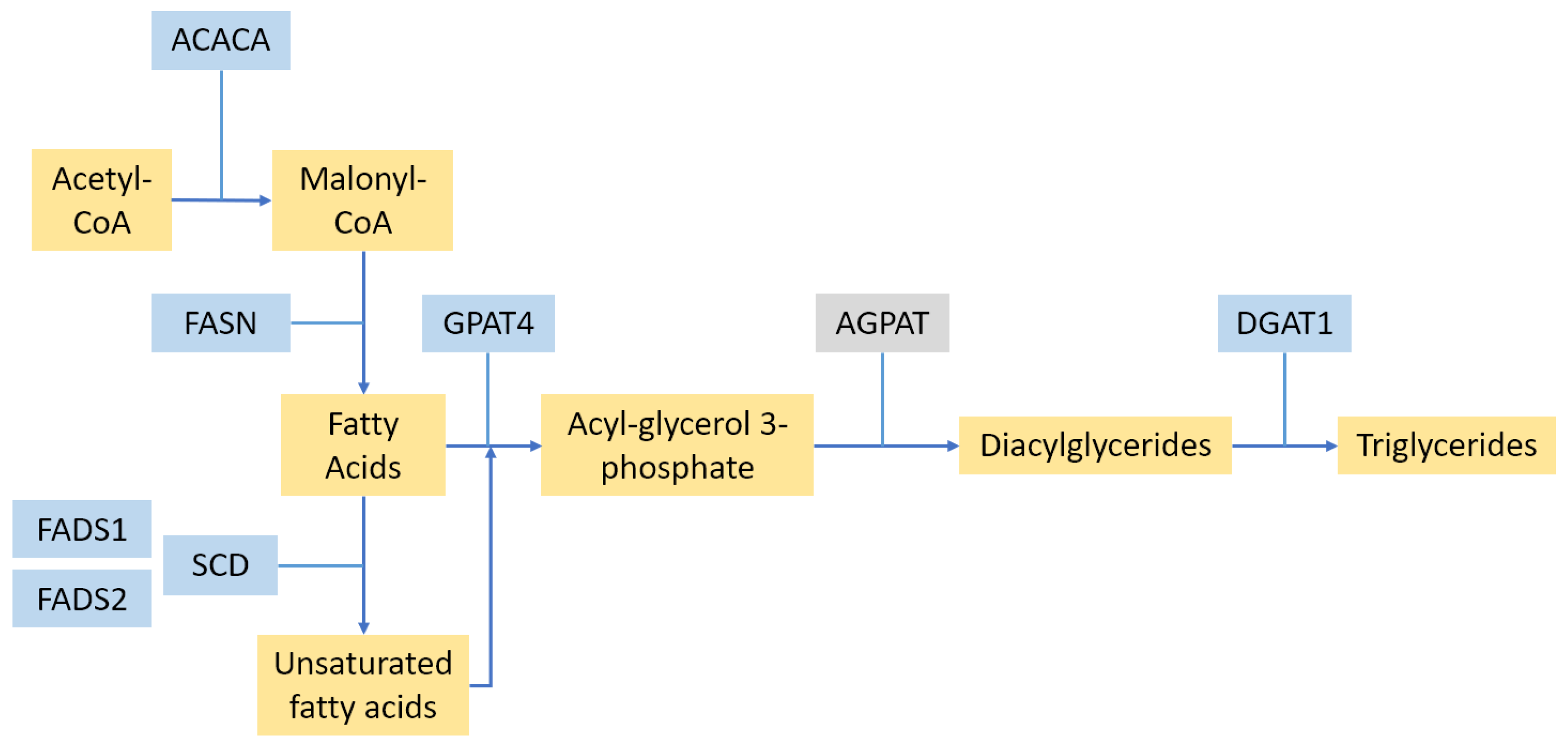 Animals 13 00911 g002