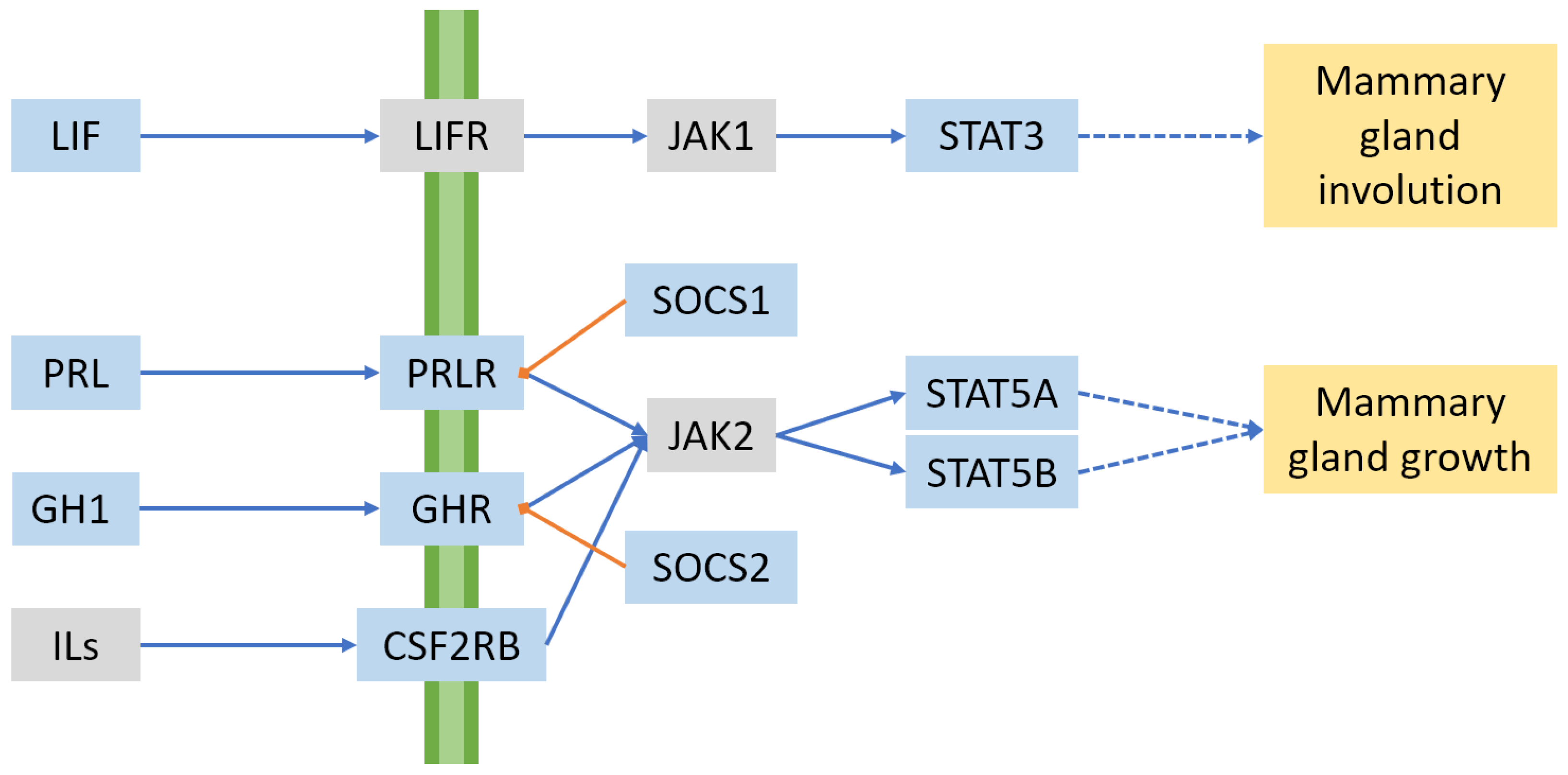 Animals 13 00911 g003