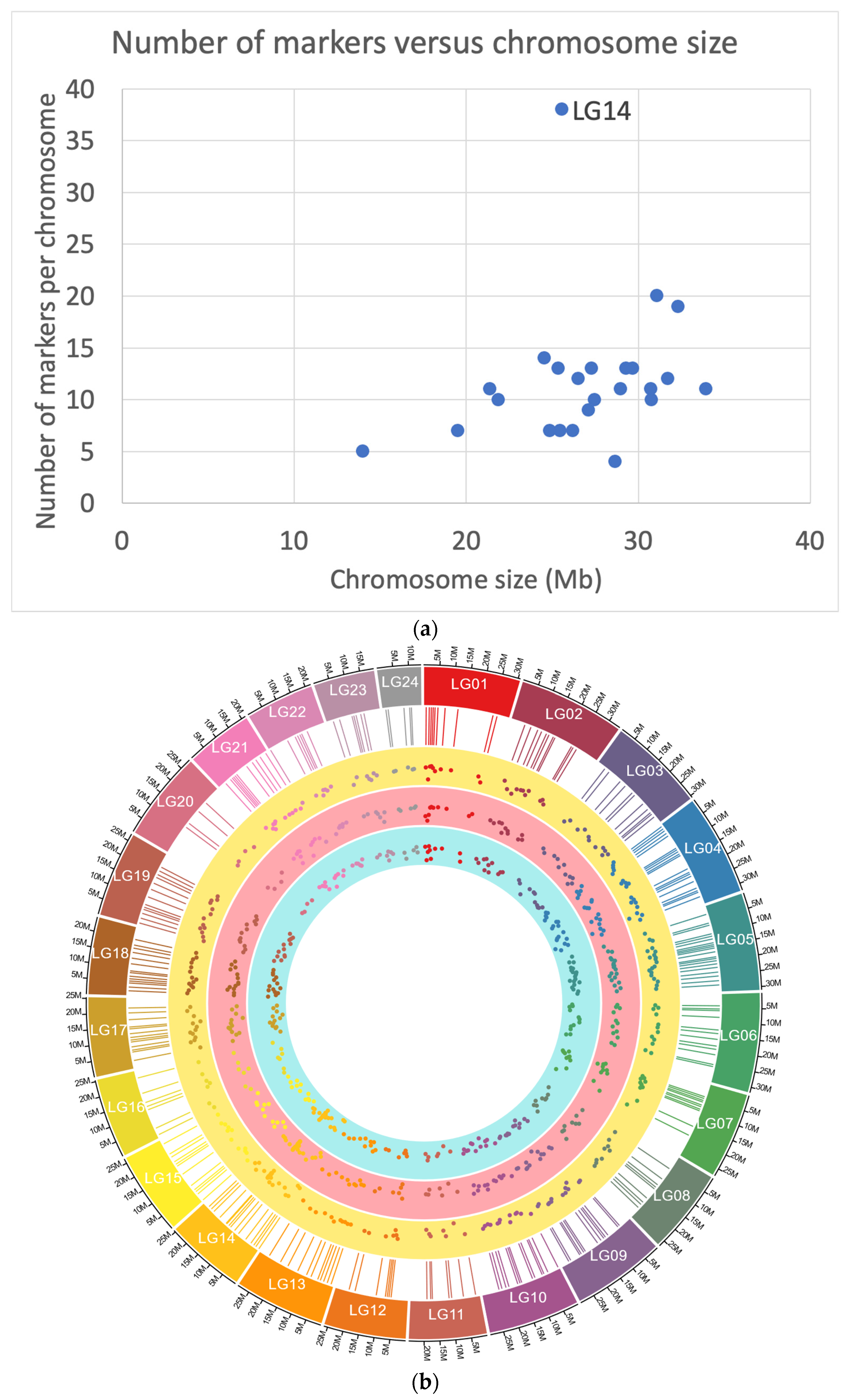 Animals 13 00913 g001