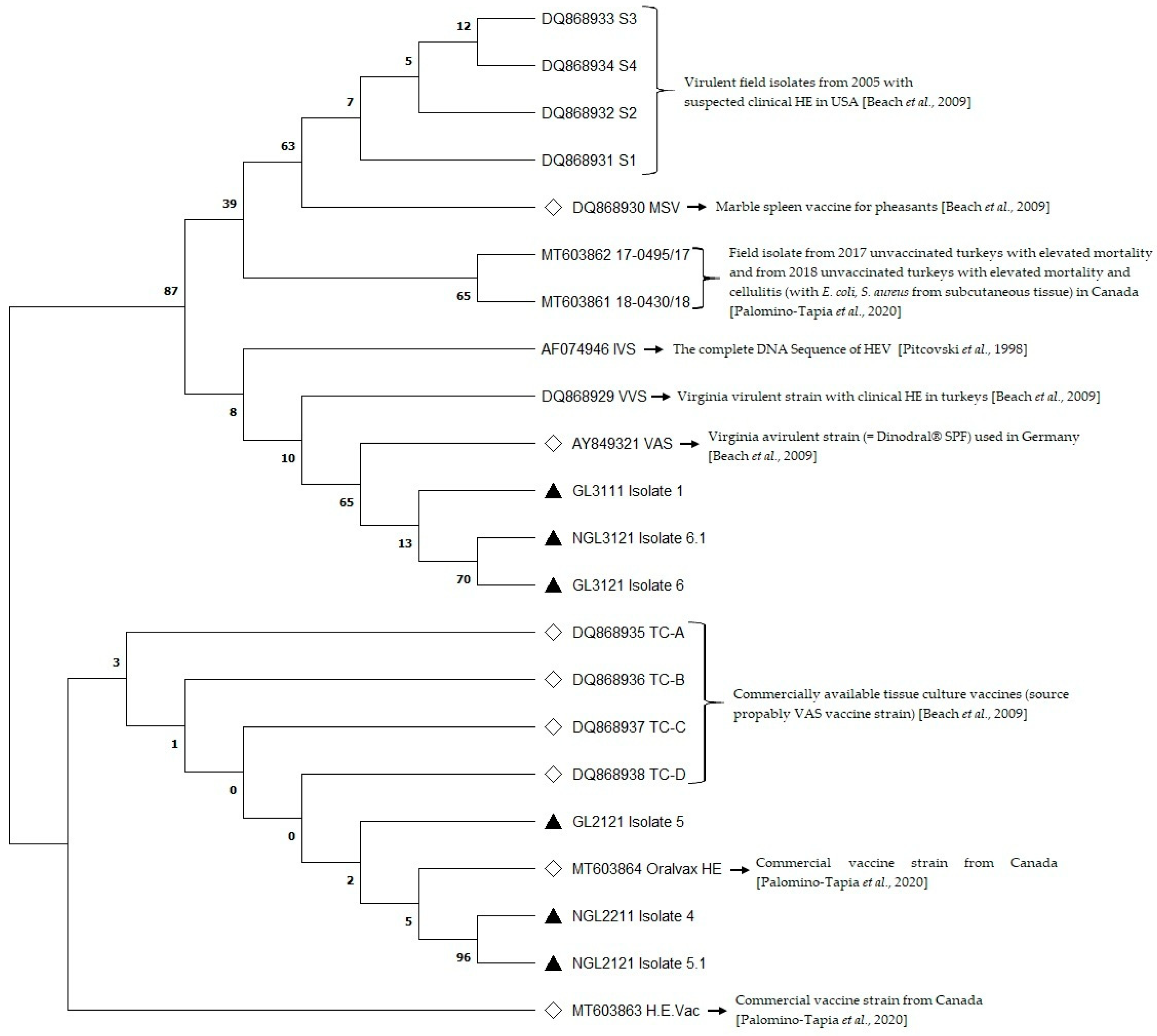 Animals 13 00918 g001