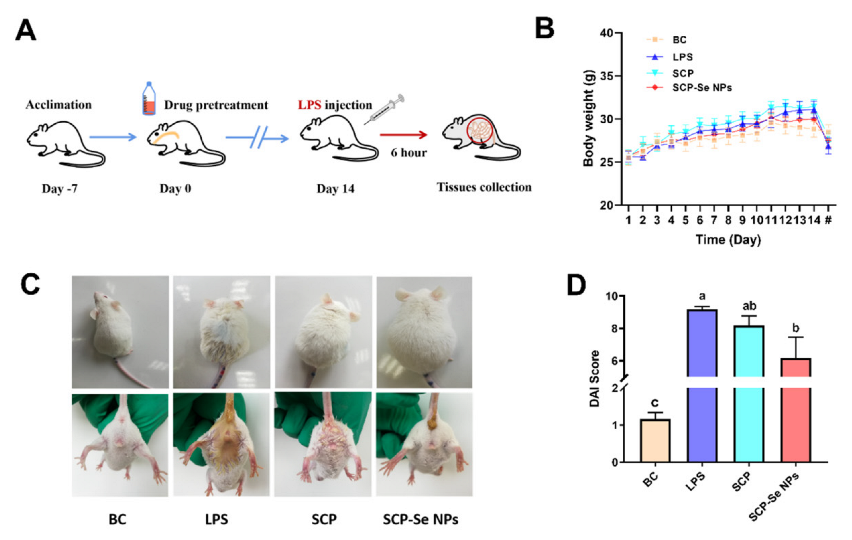 Animals 13 00930 g008