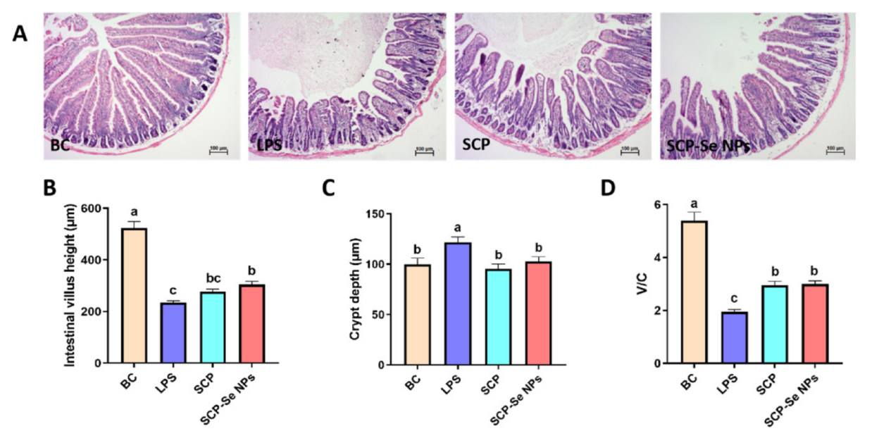 Animals 13 00930 g009