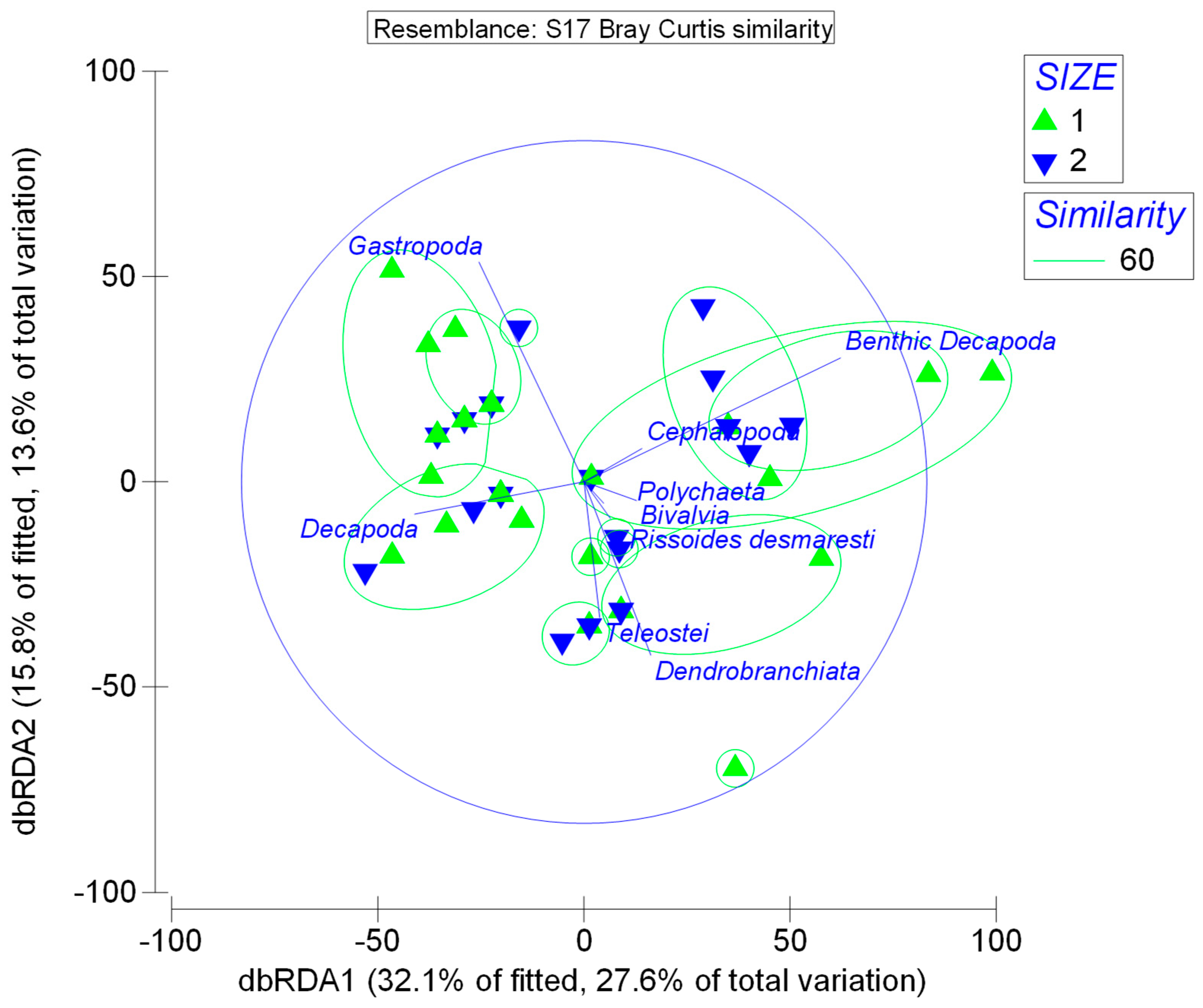 Animals 13 00939 g004 Animals 13 00939 g004