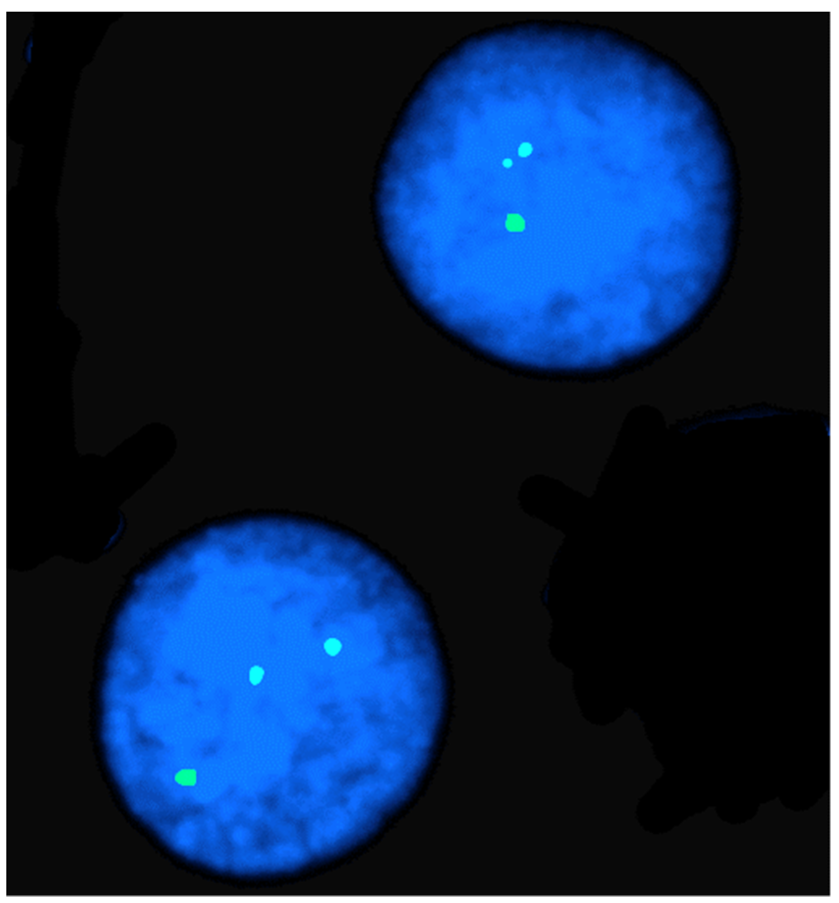 Animals 13 00944 g002