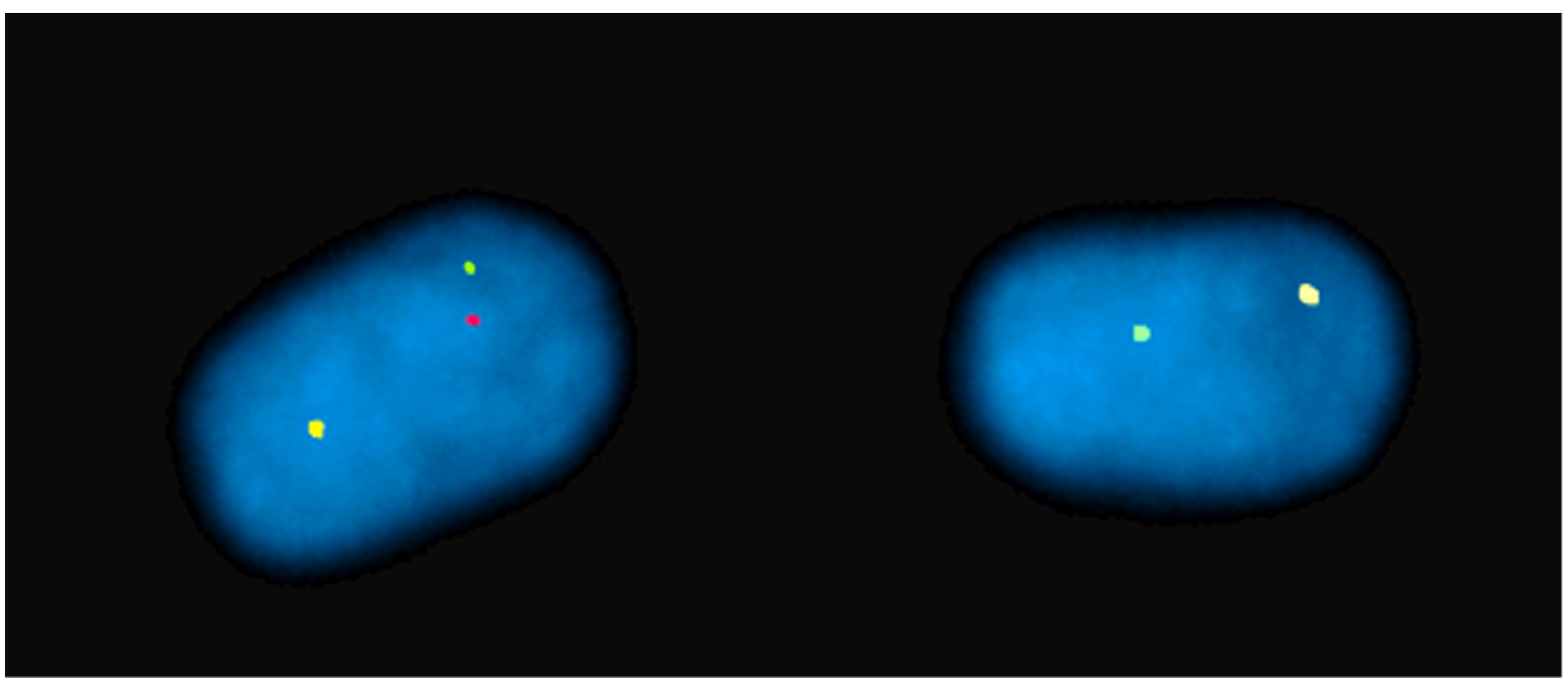 Animals 13 00944 g003