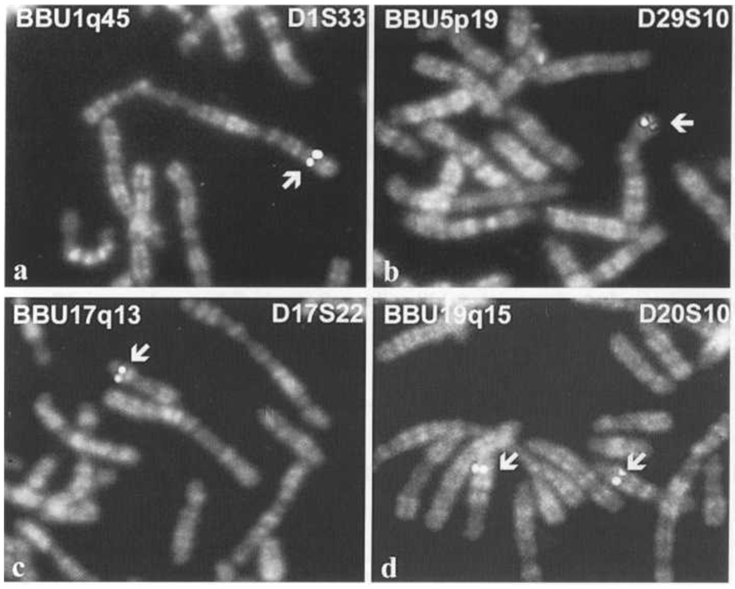 Animals 13 00944 g004