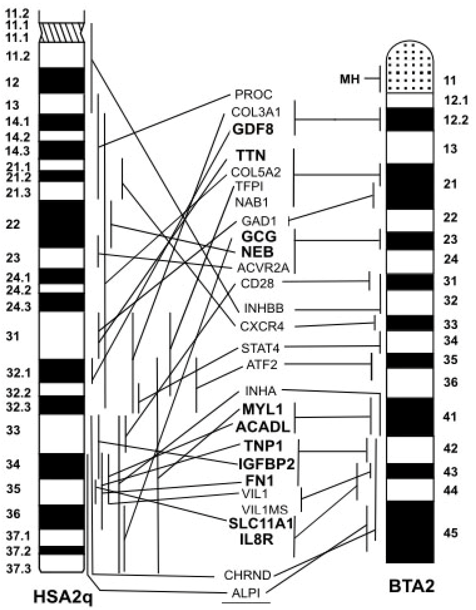 Animals 13 00944 g005