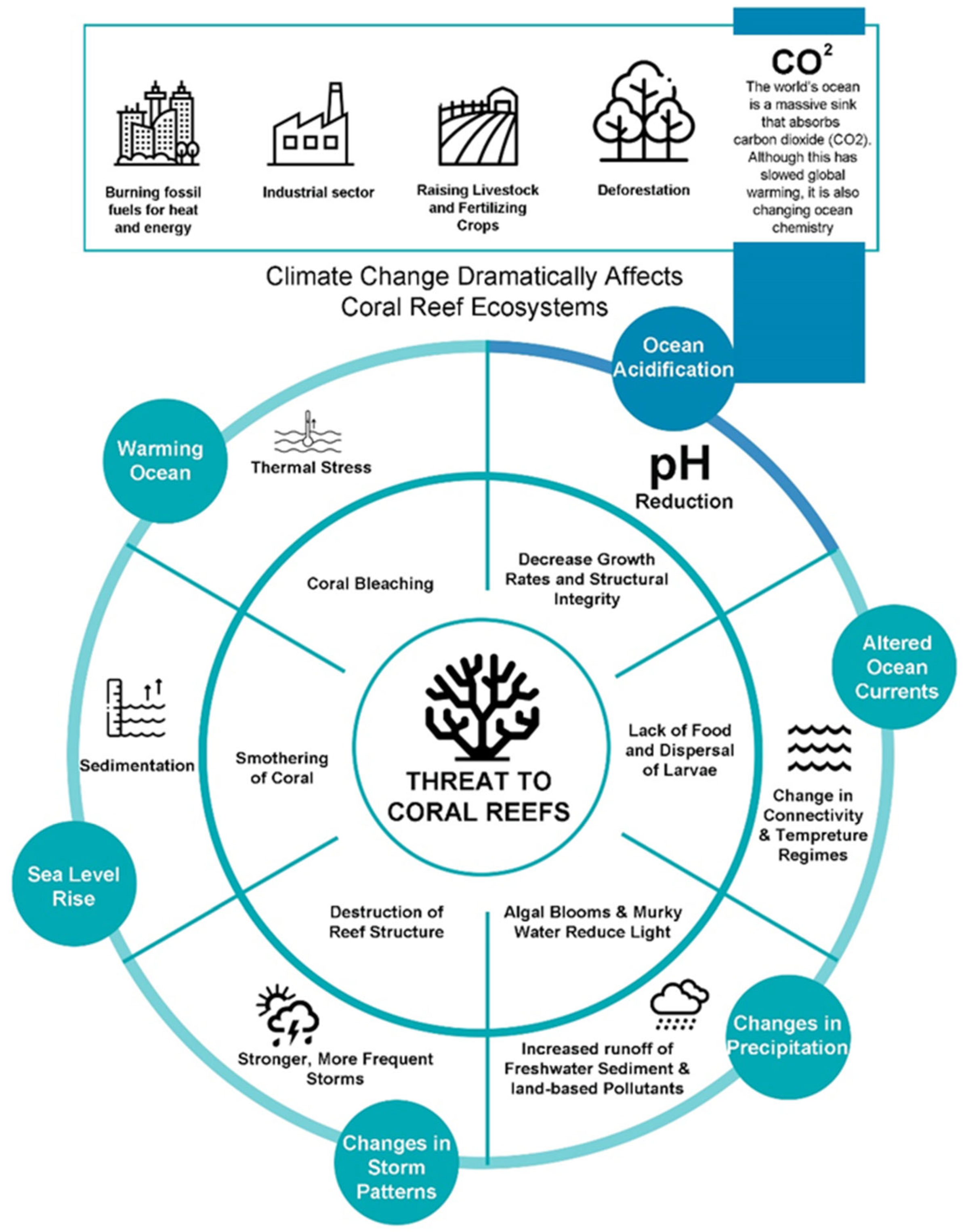 Animals 13 00949 g001