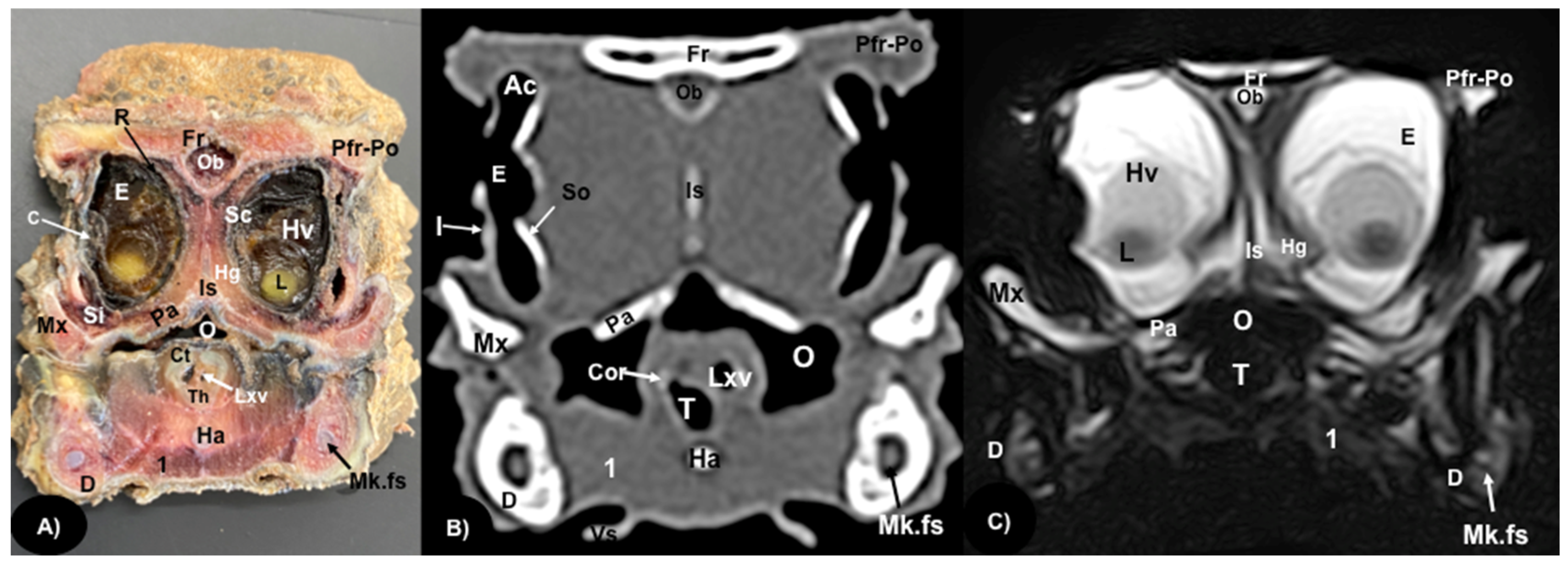 Animals 13 00955 g003 Animals 13 00955 g003