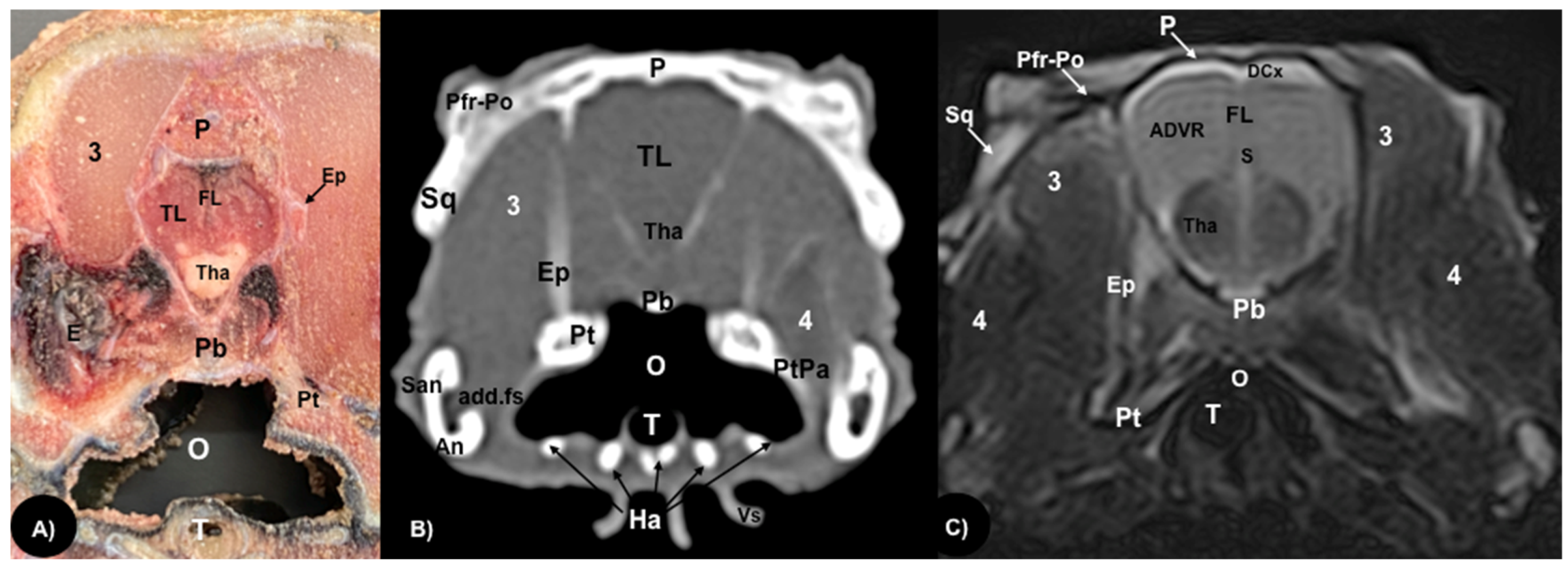 Animals 13 00955 g005 Animals 13 00955 g005