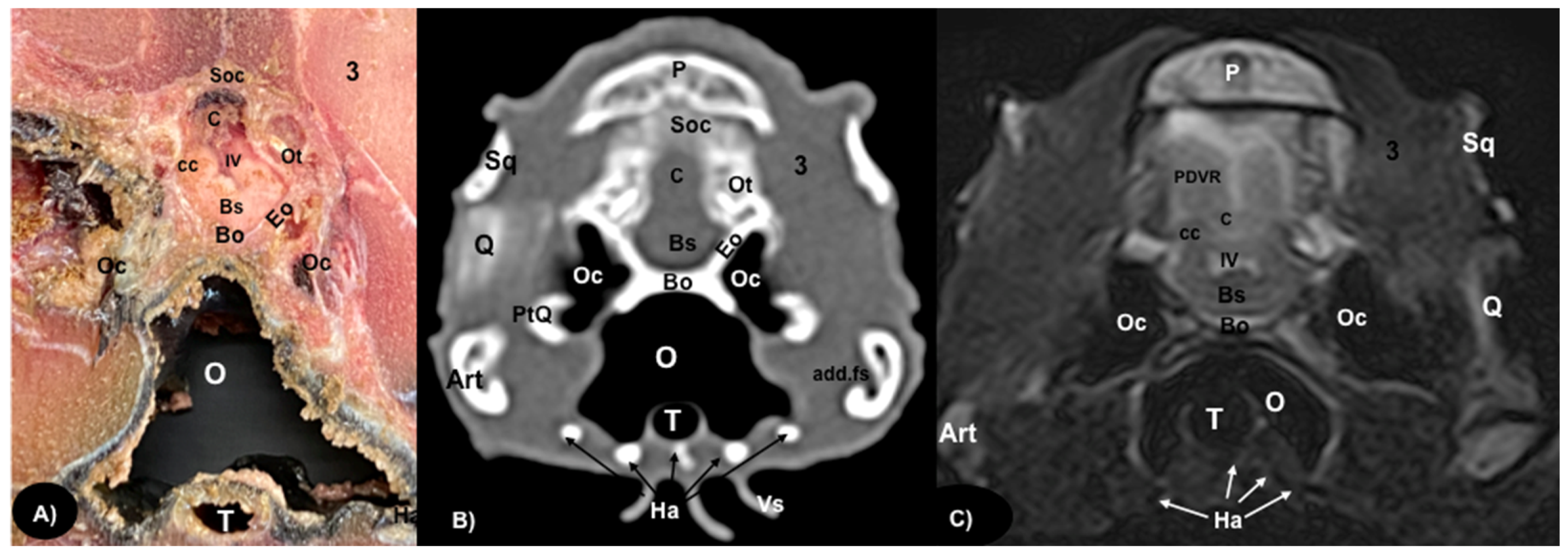 Animals 13 00955 g006 Animals 13 00955 g006