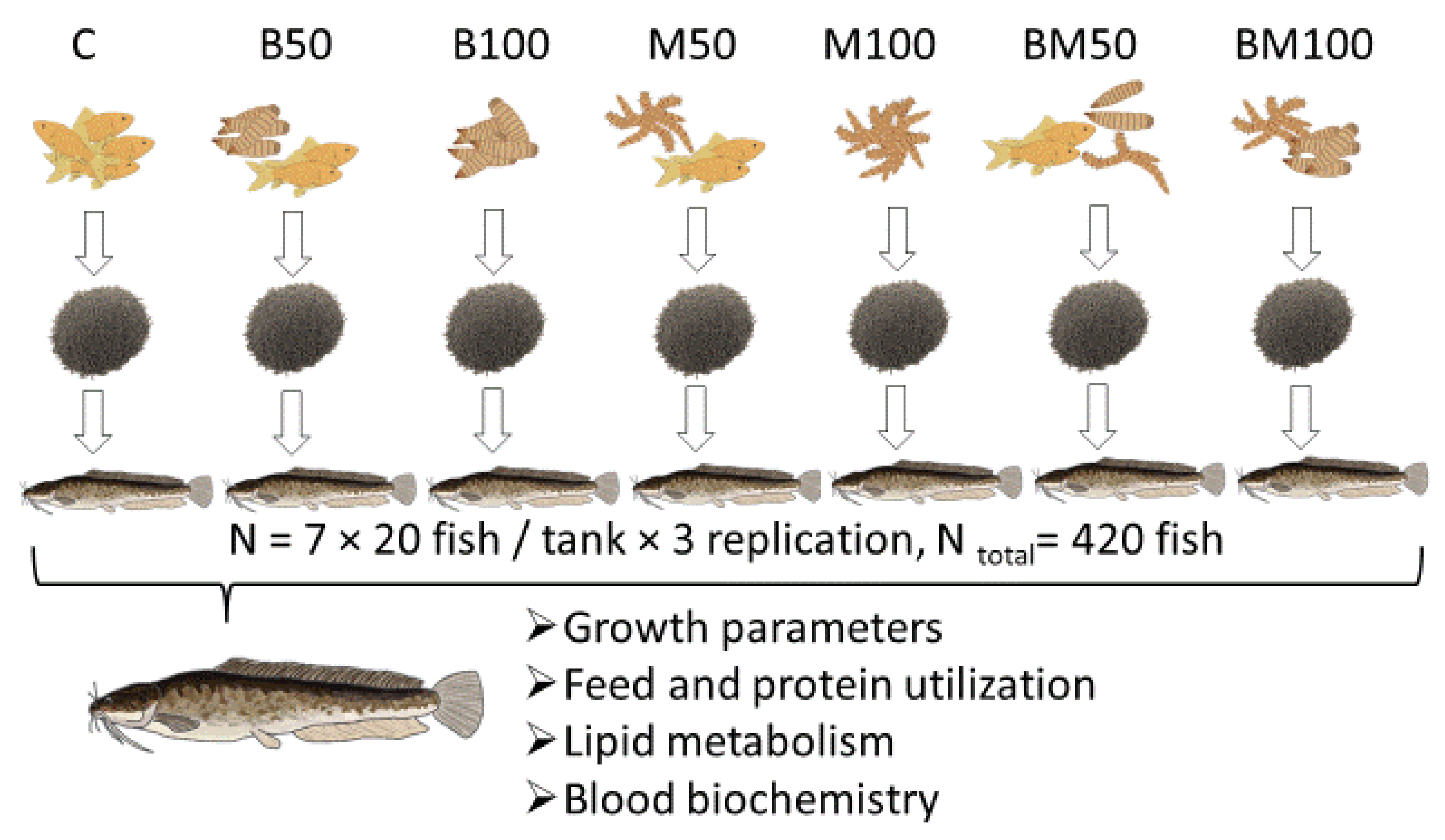 Animals 13 00968 g001