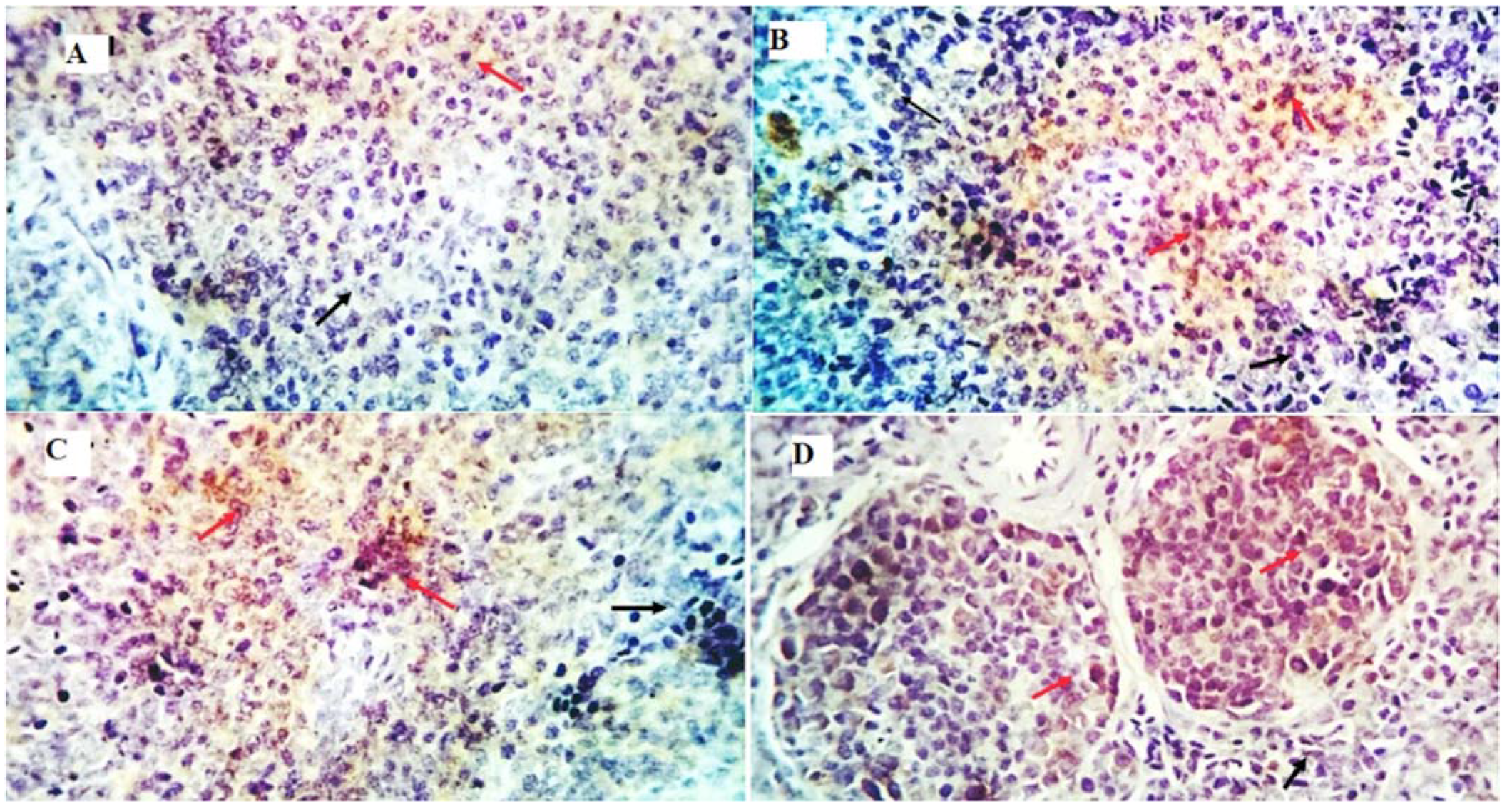 Animals 13 00971 g005