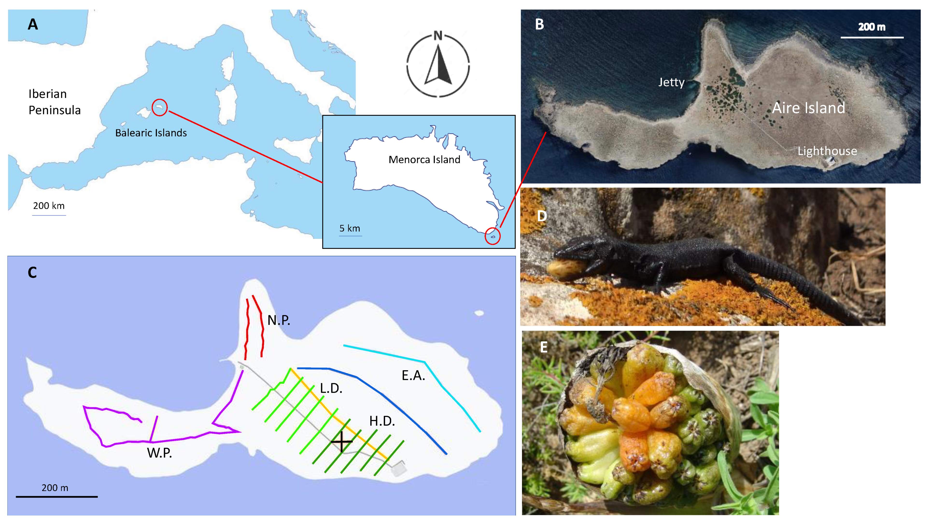 Animals 13 00973 g001