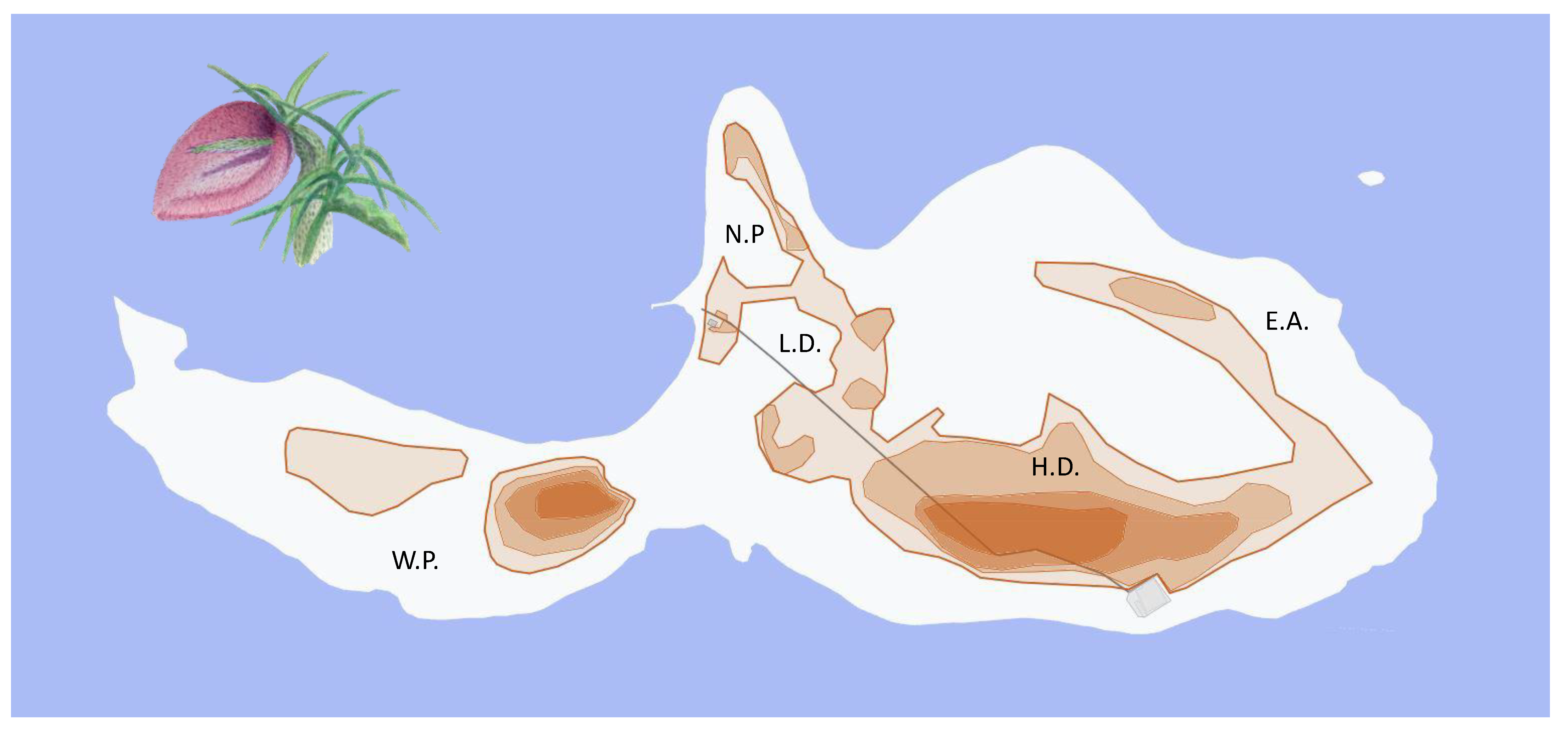 Animals 13 00973 g002