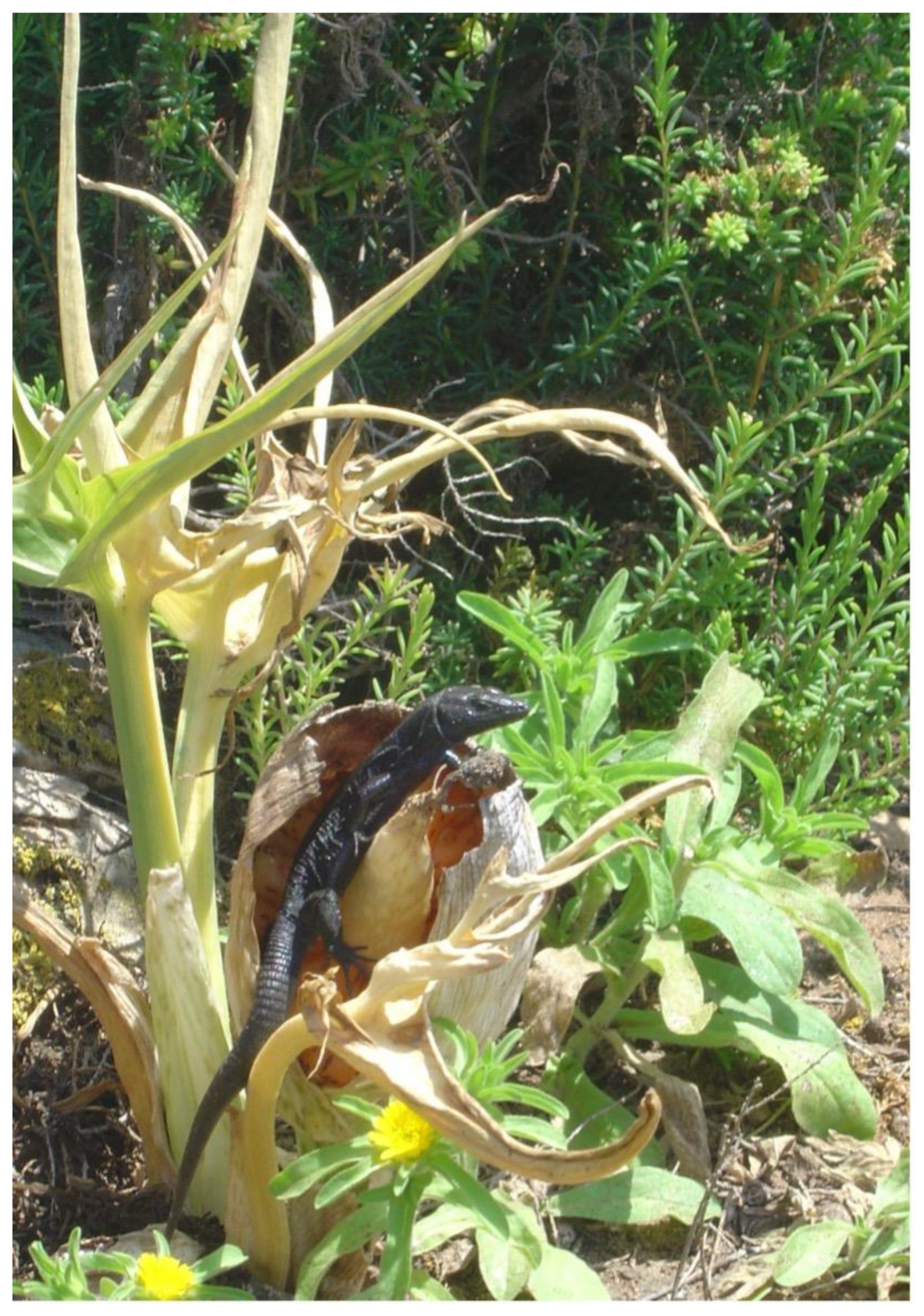 Animals 13 00973 g010